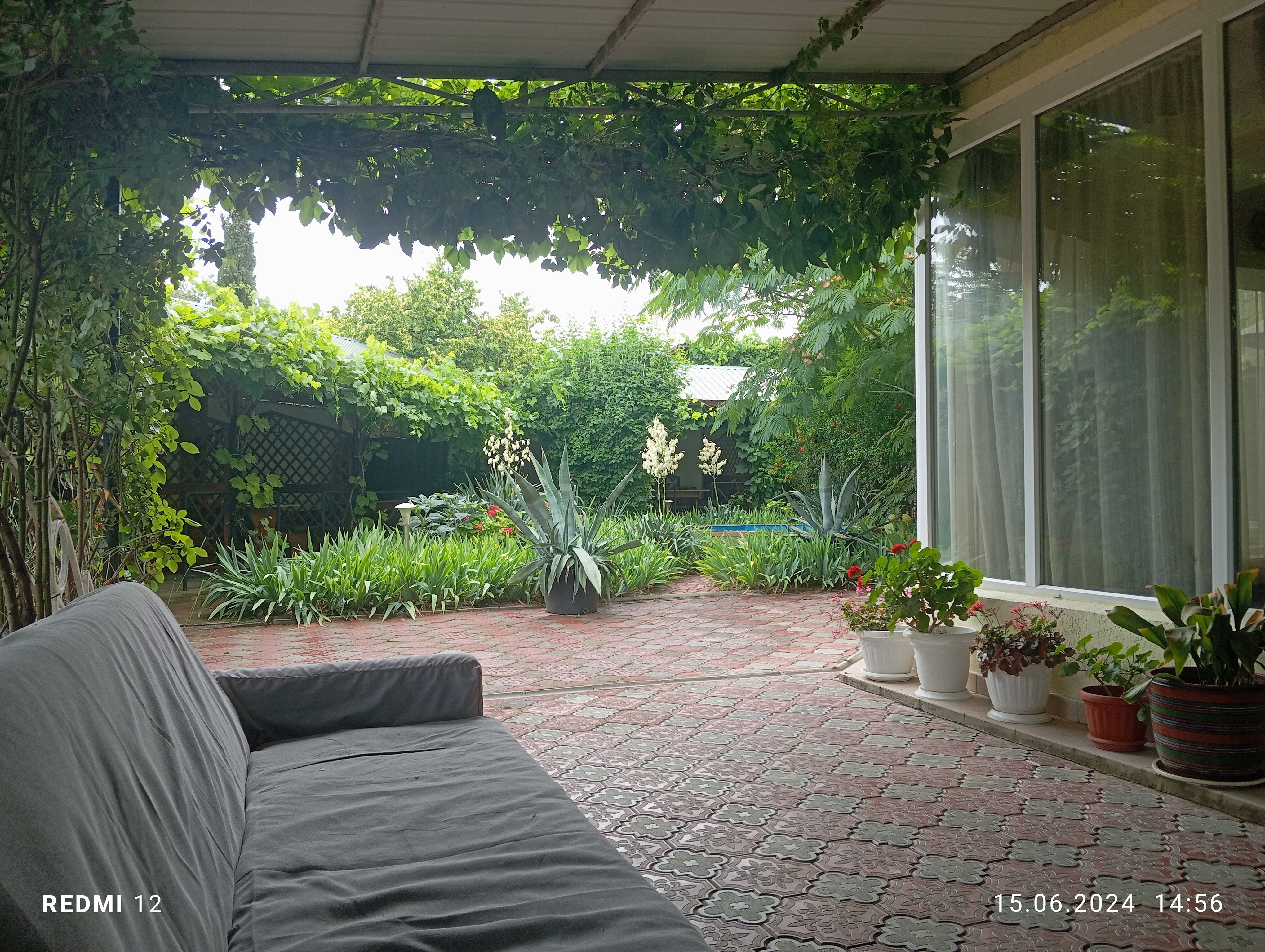 Фото Московский