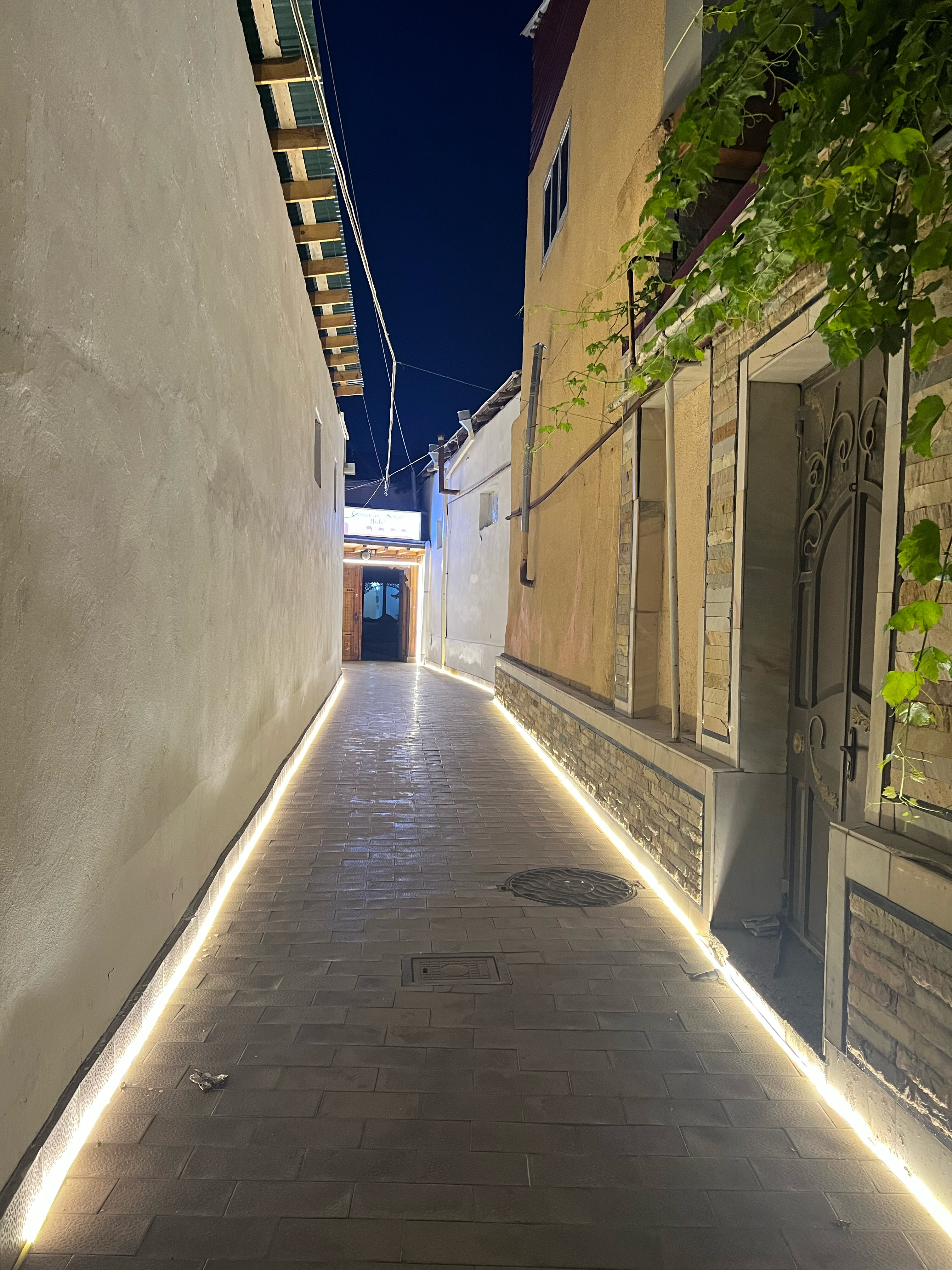 Фото Hotel Caravan Serail