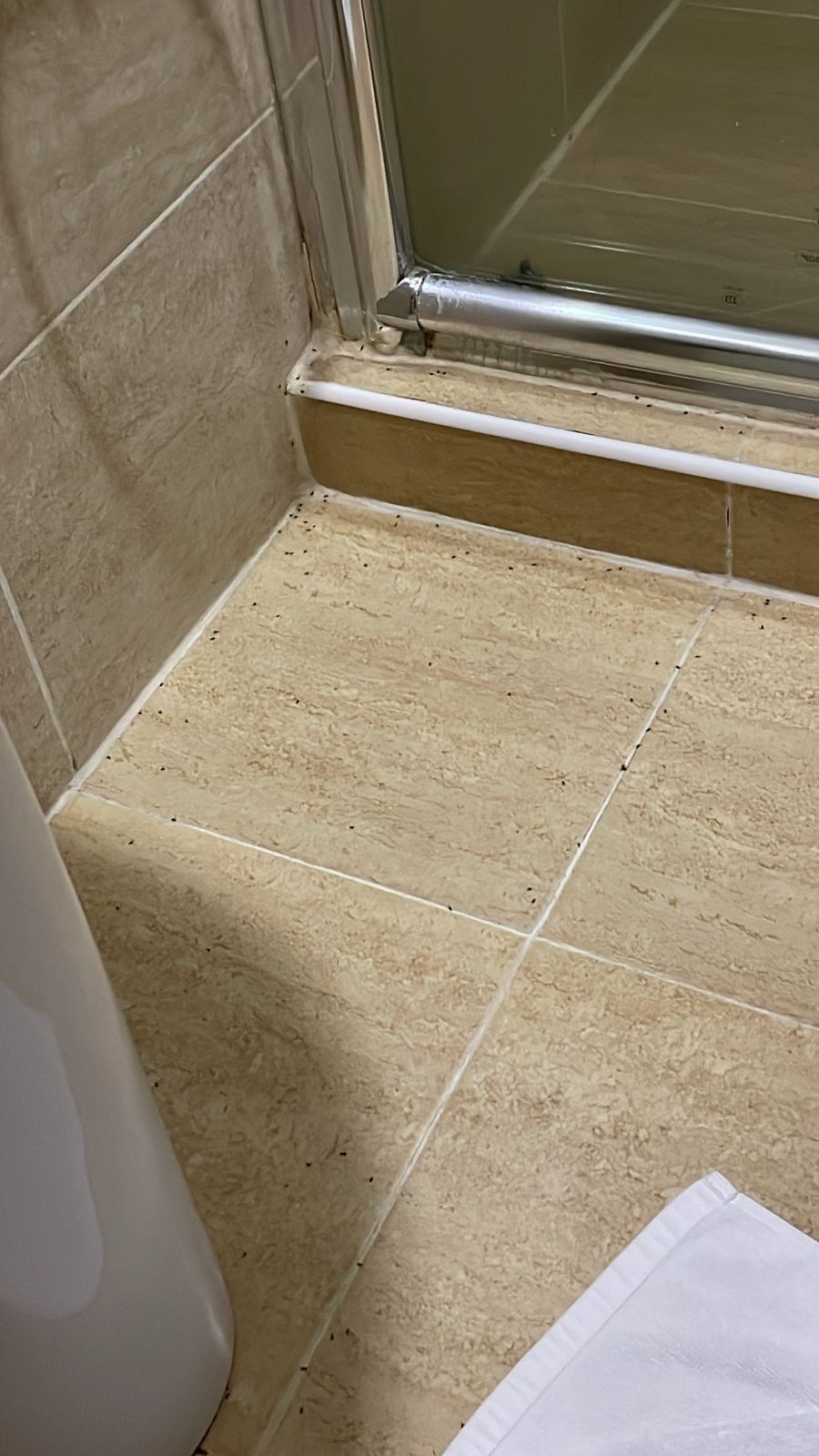 Фото Mildom Express