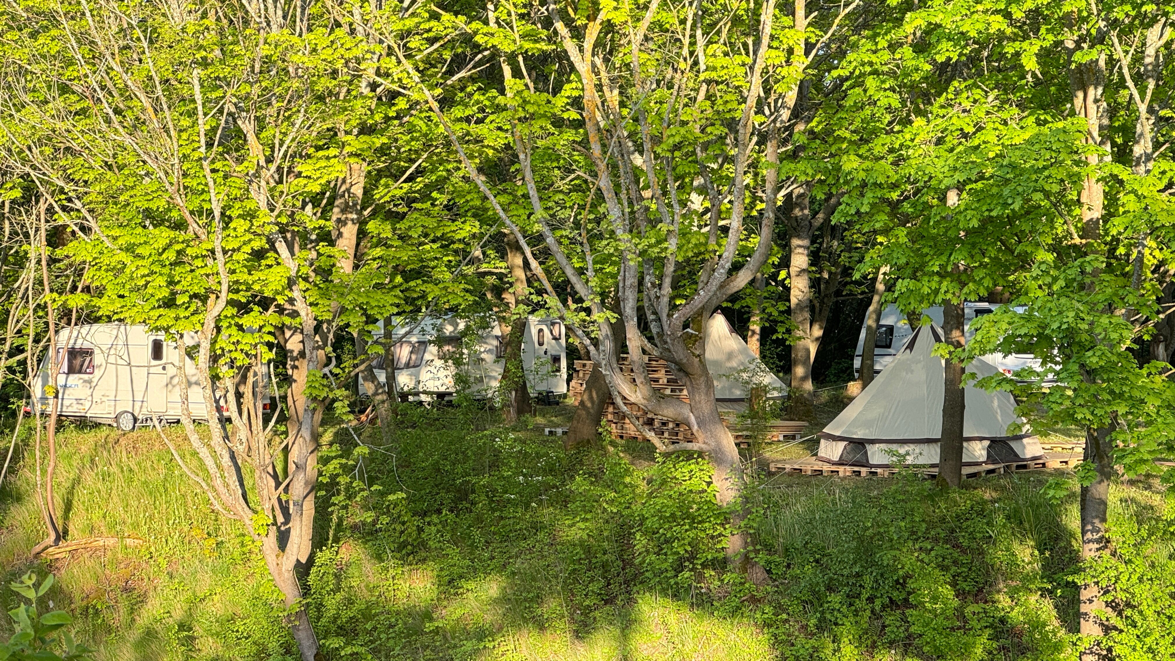 Фото 1000 Звёзд