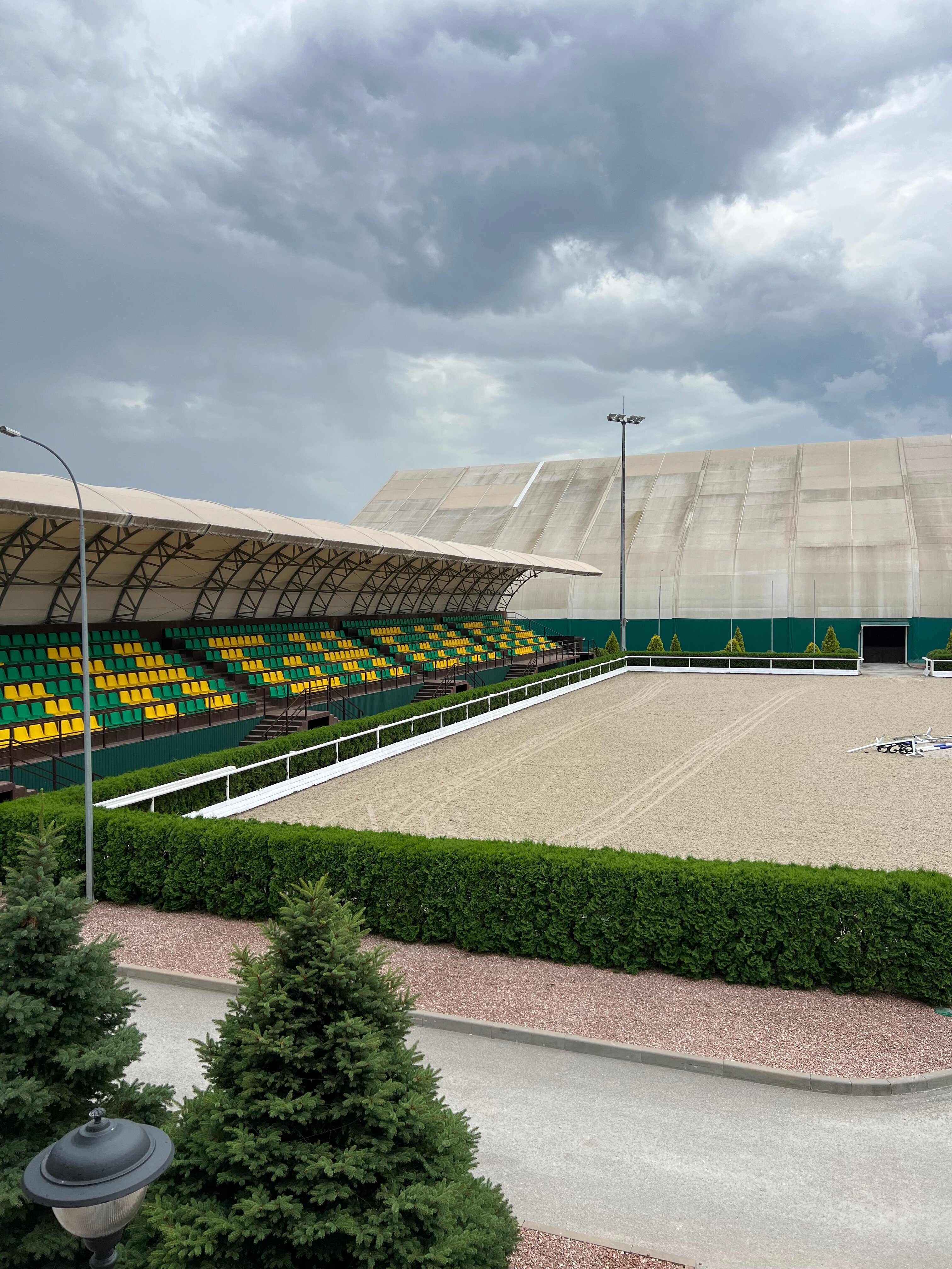 Фото Голден Хорс