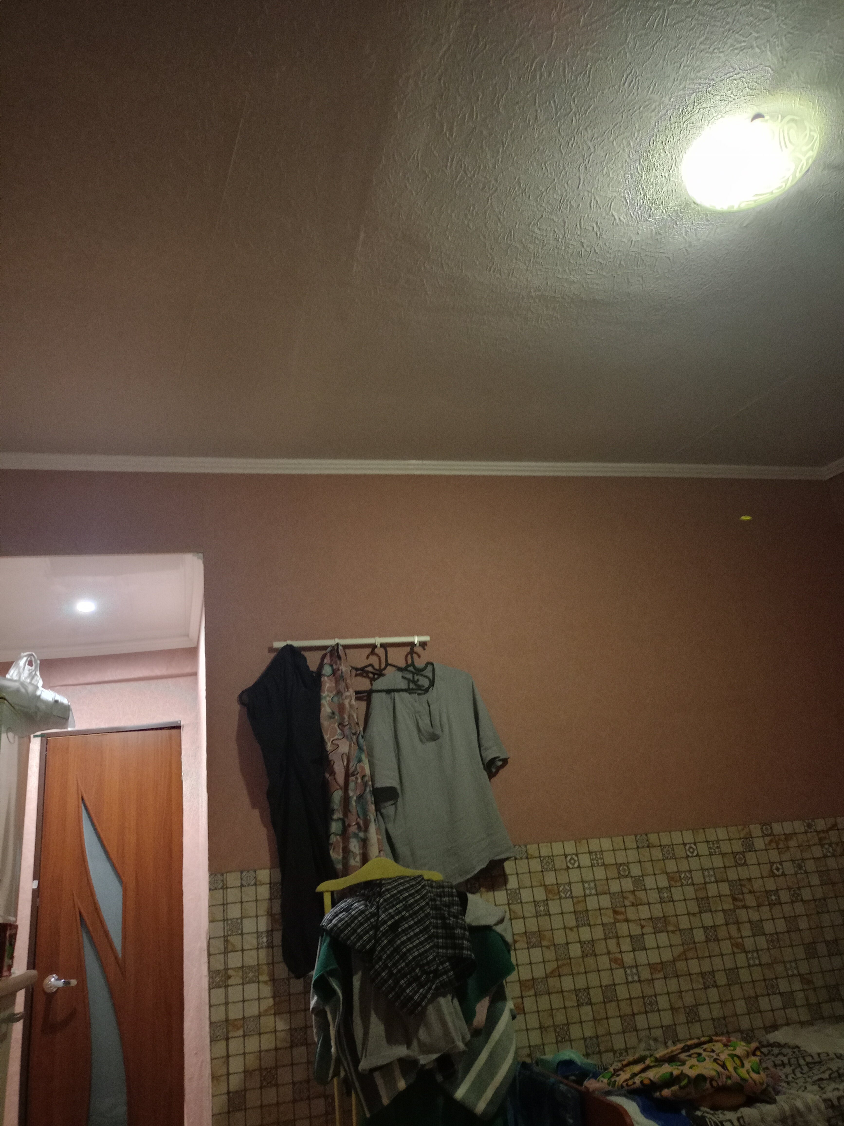 Фото Ласточка