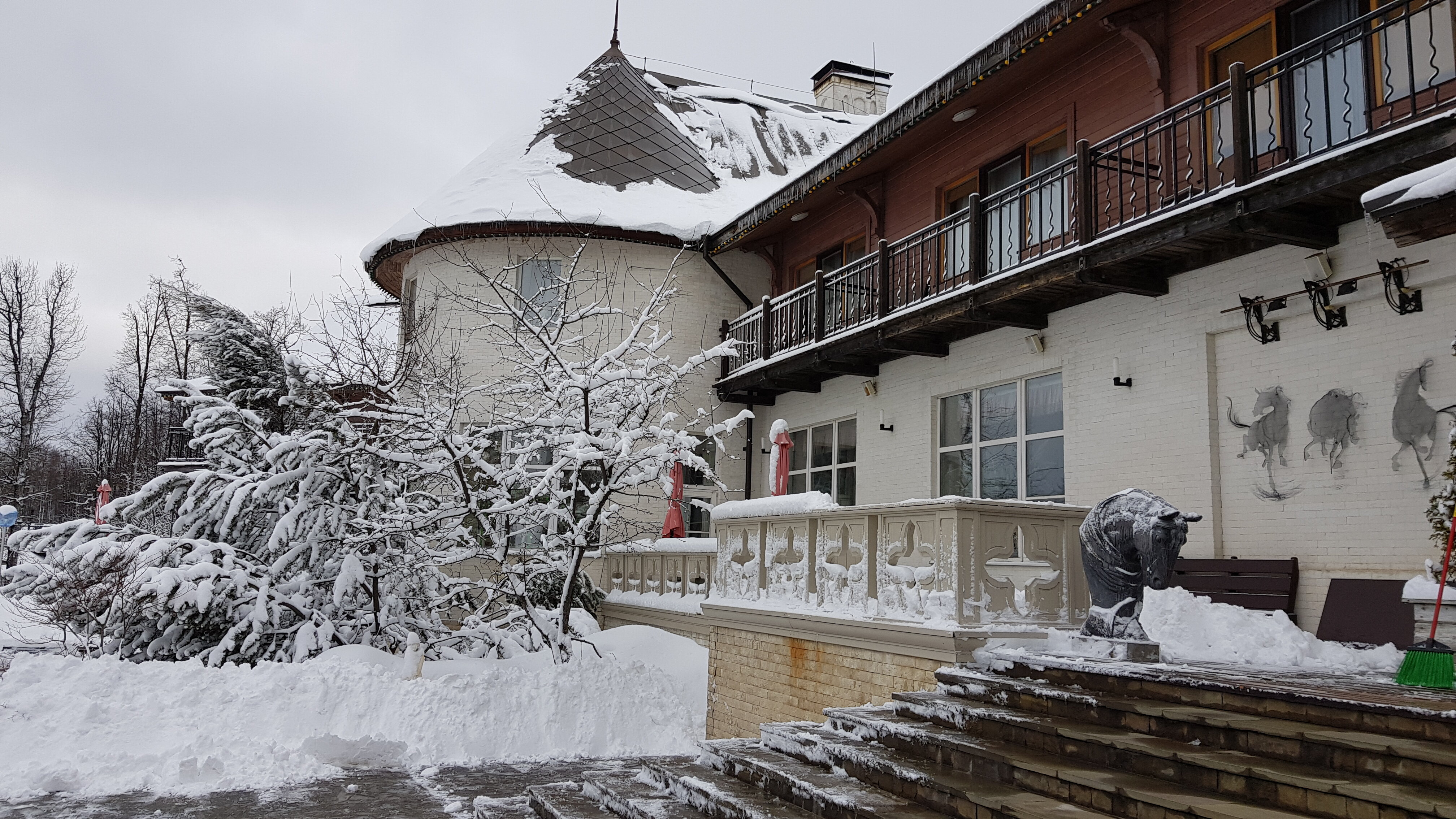 Фото Отрада