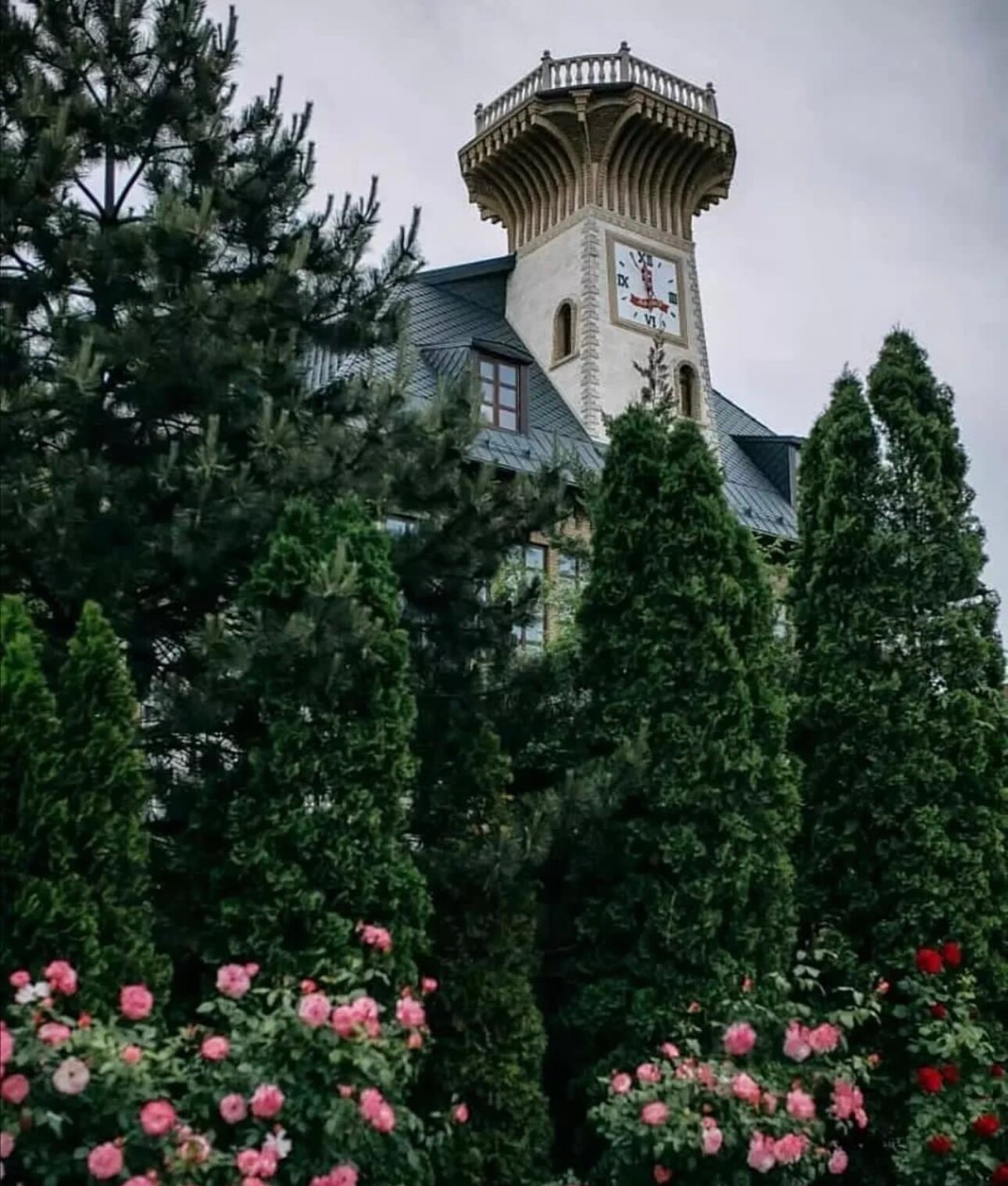 Фото Либхабер