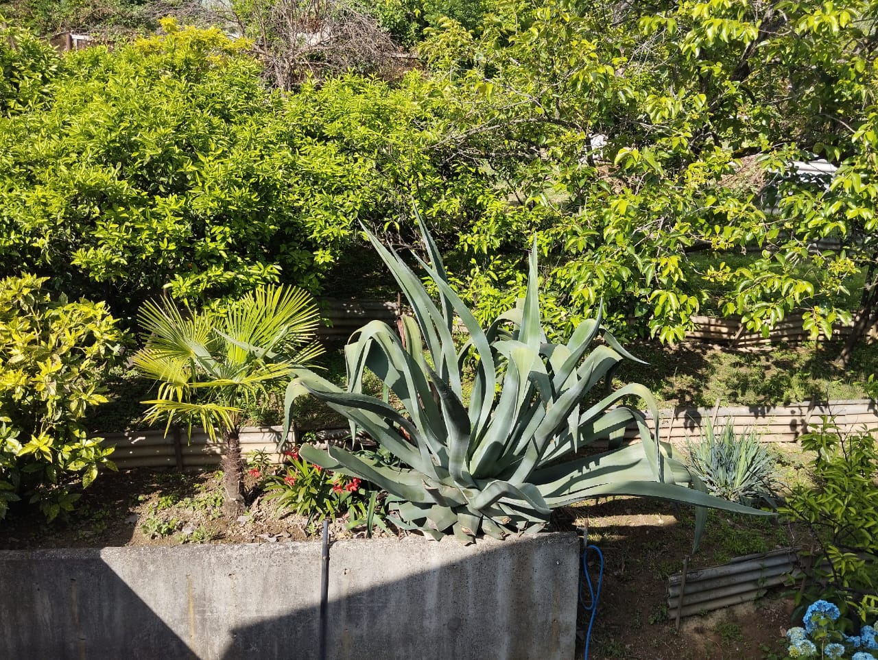 Фото У Артема и Сусанны