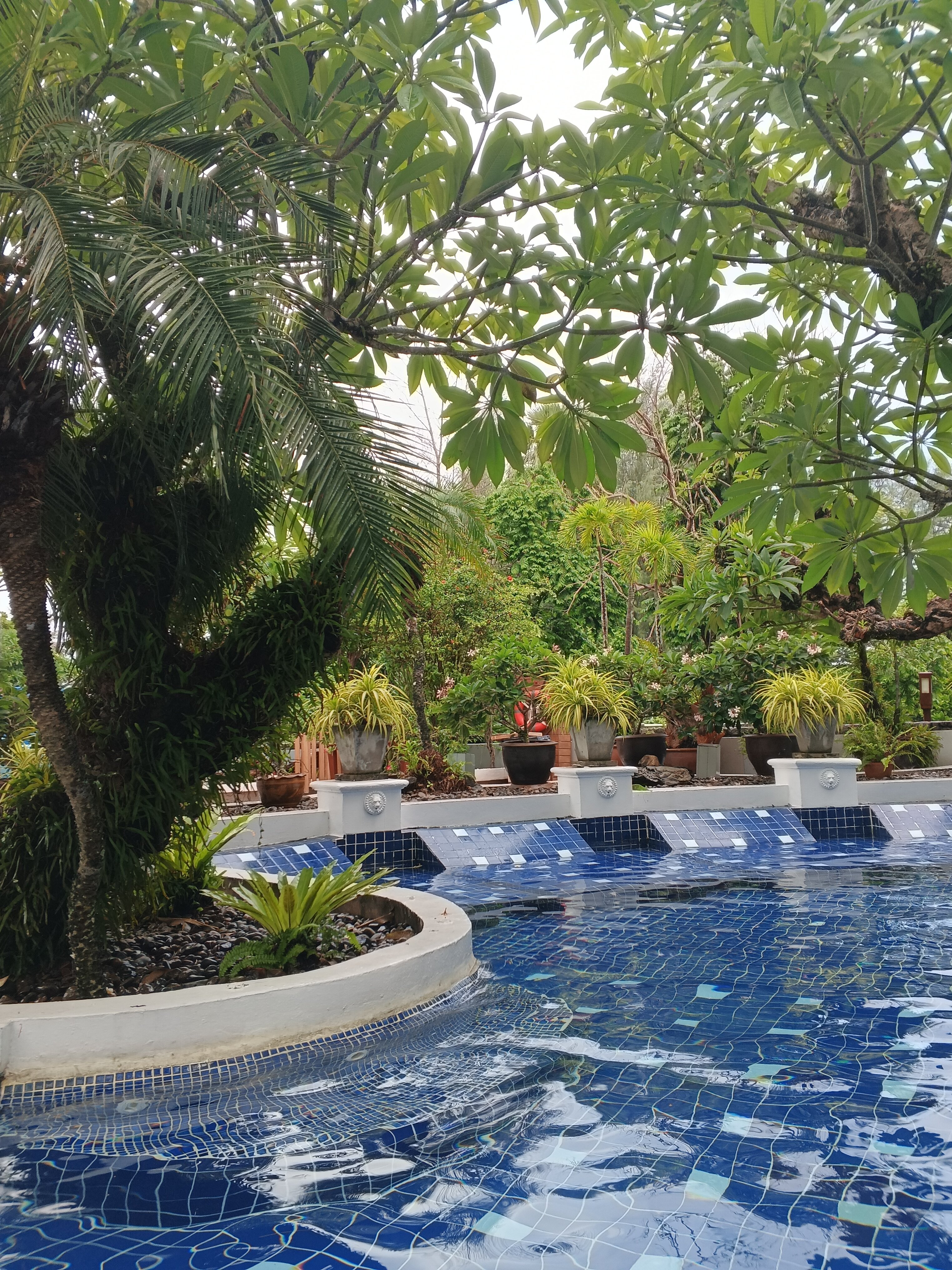 Фото Andaman Seaview Hotel