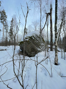 Sikasaari (Leningrad Region, Priozerskiy District, Romashkinskoye selskoye poseleniye, ostrov Lugovoy), landmark, attraction