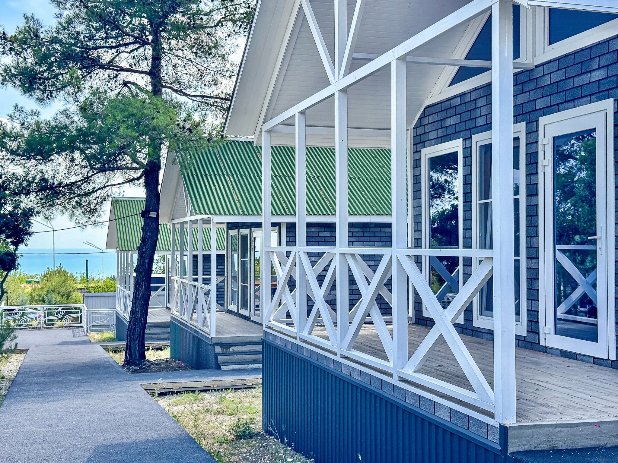 Фото Елки и Иголки