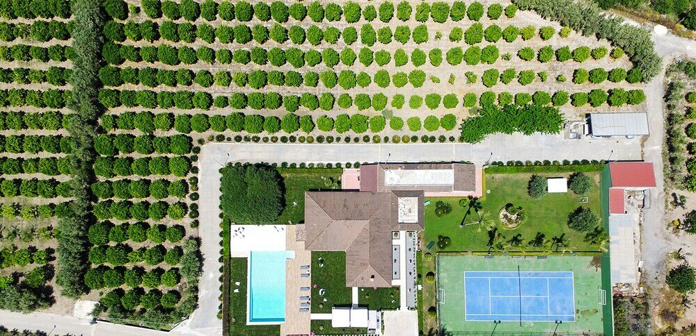 Фото Sicily Summer Breeze