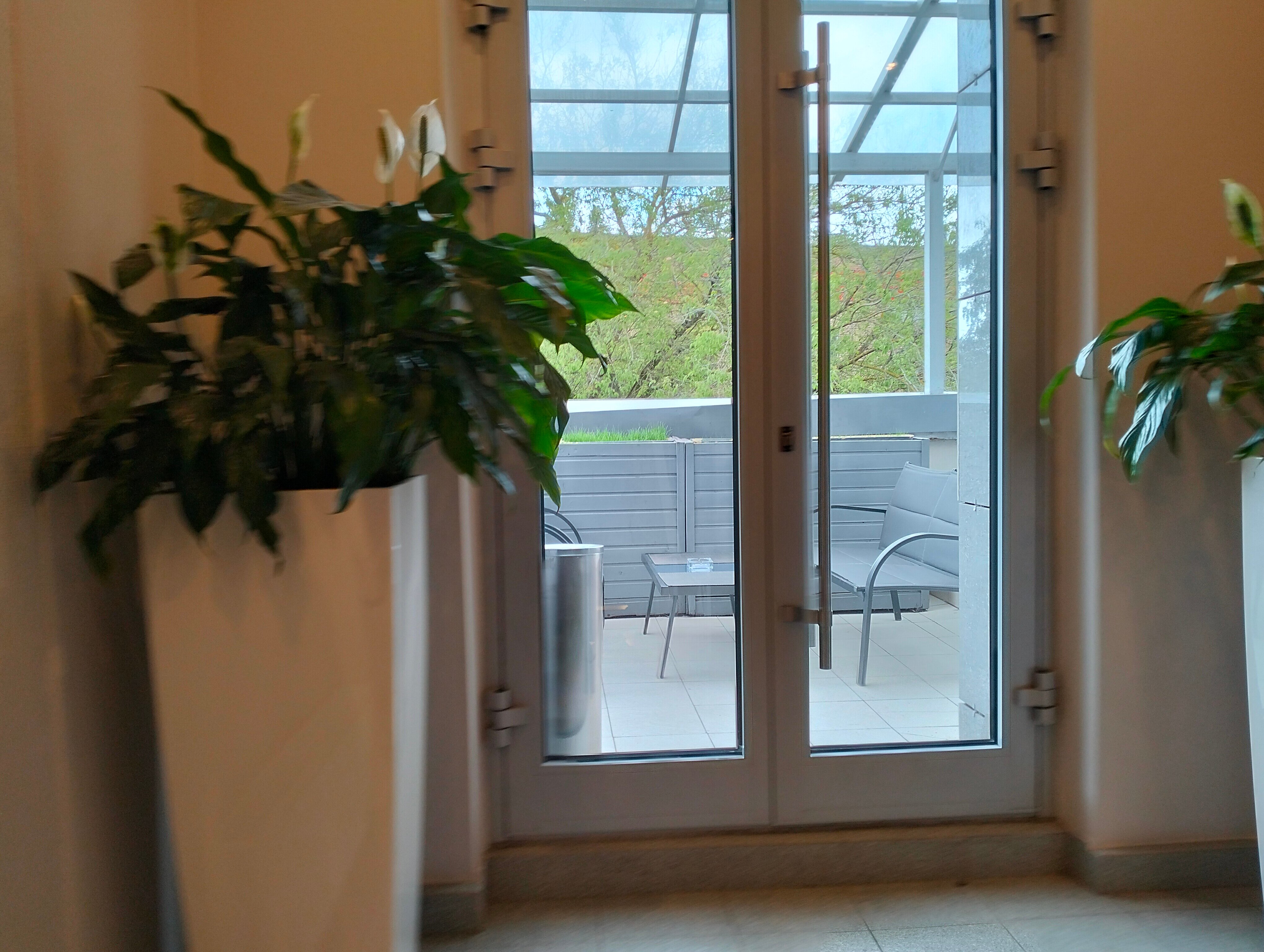 Фото Звёздный