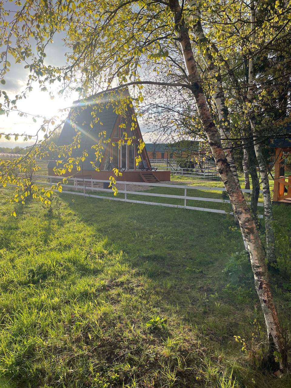 Фото В тишине