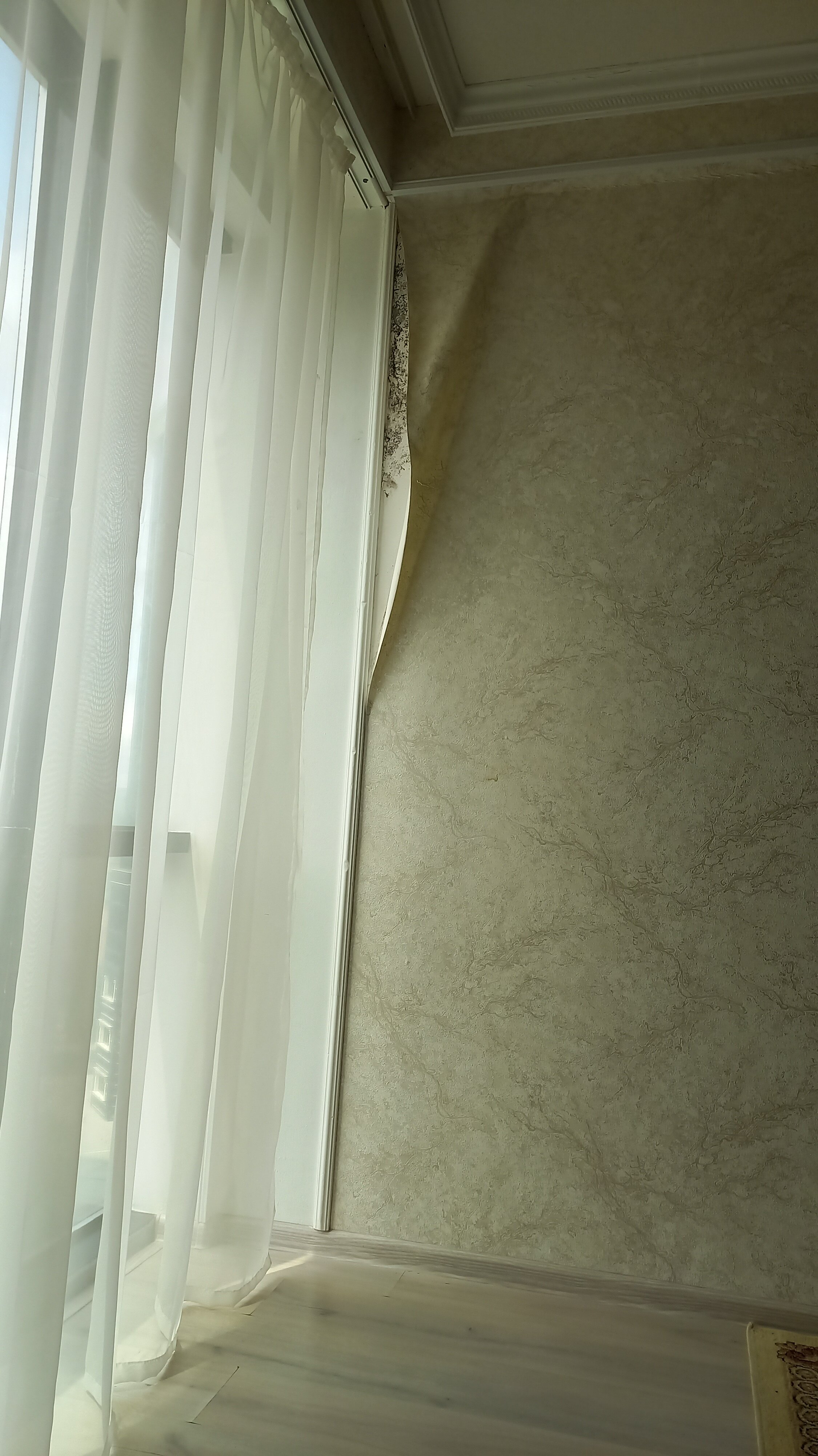 Фото Отель Кавказ