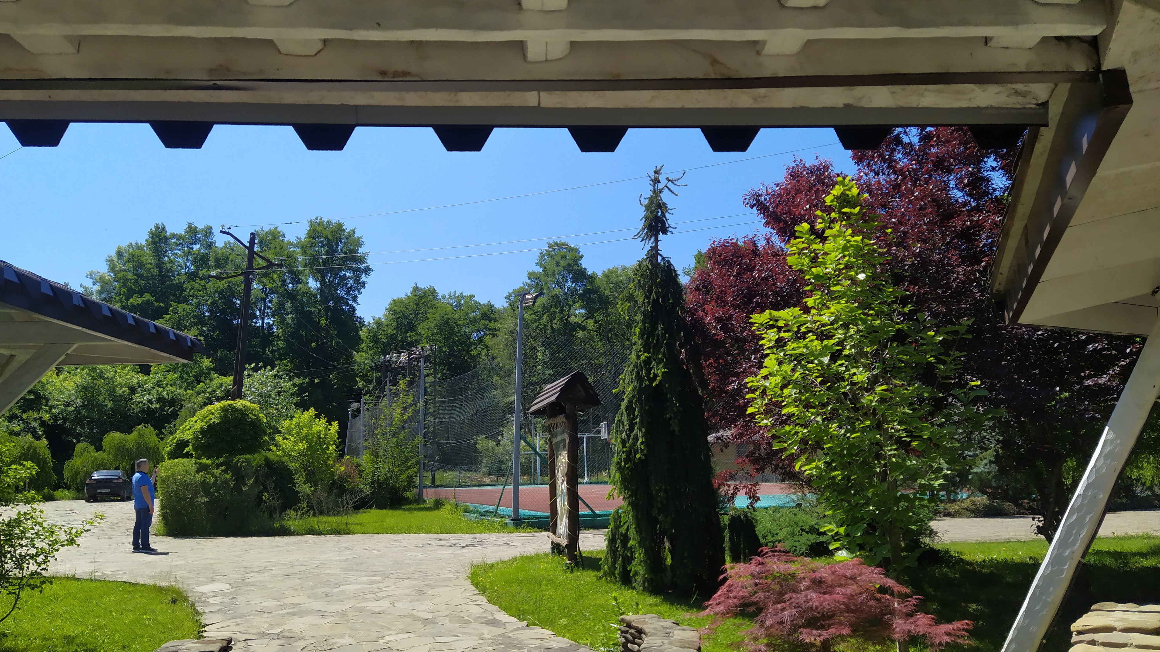 Фото Кура-цеце