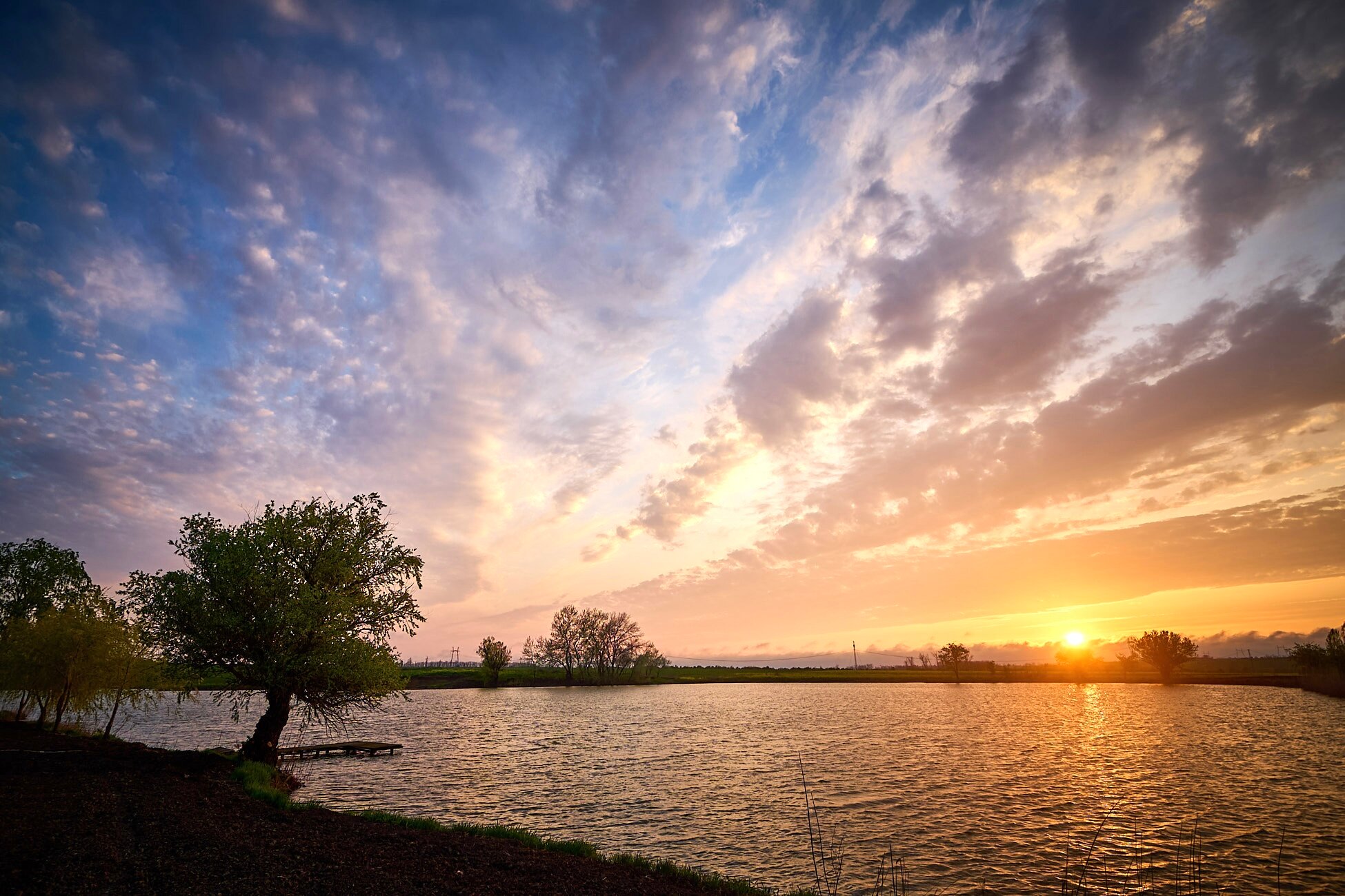 Фото Терра23