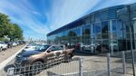 Nissan-Tsentr (Kaliningrad, Moskovskiy Avenue, 258), car dealership