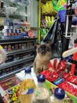 Продукты (derevnya Daryino, 25В), grocery