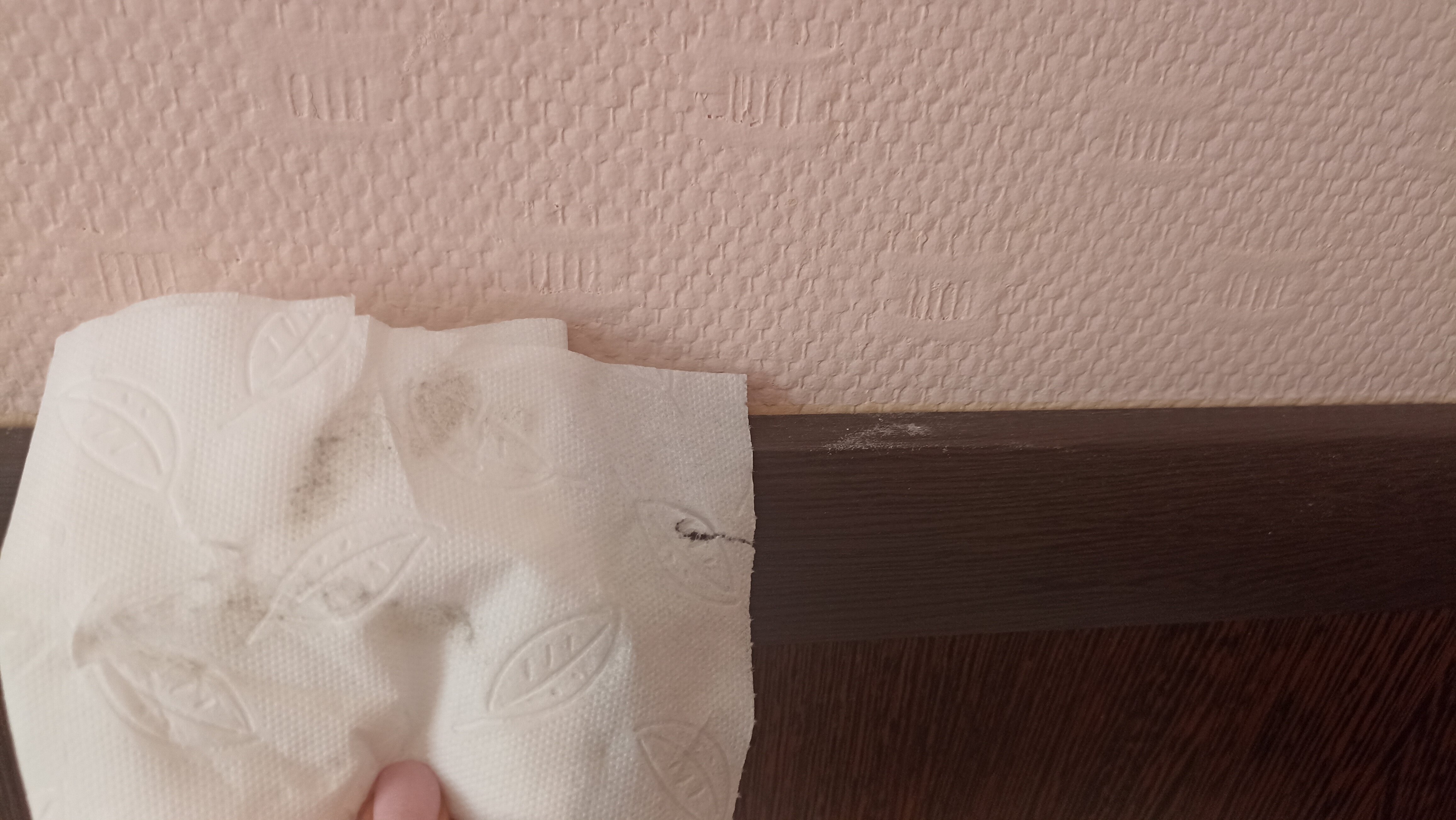 Фото Счастье