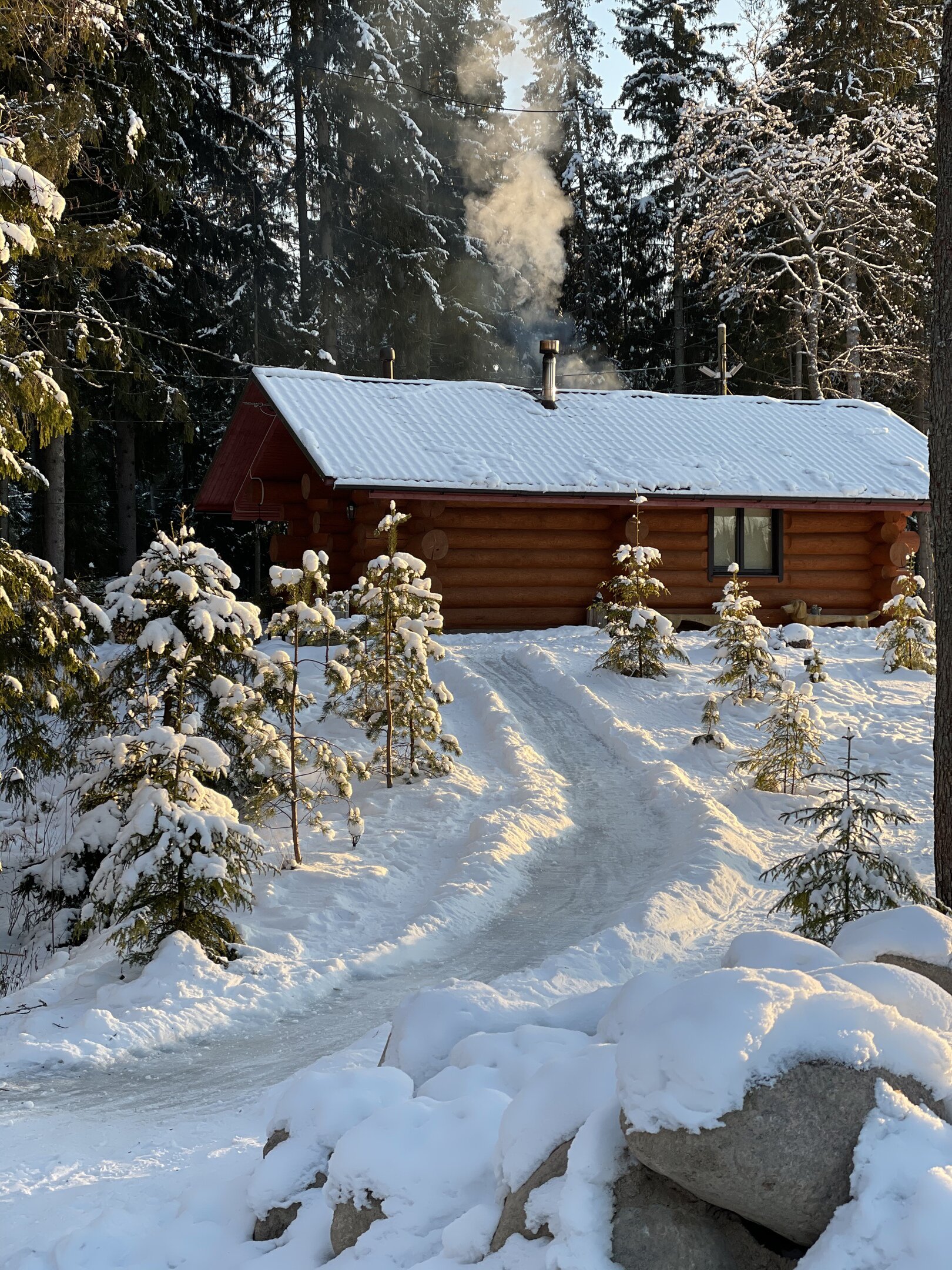 Фото Поместье Лесная бухта