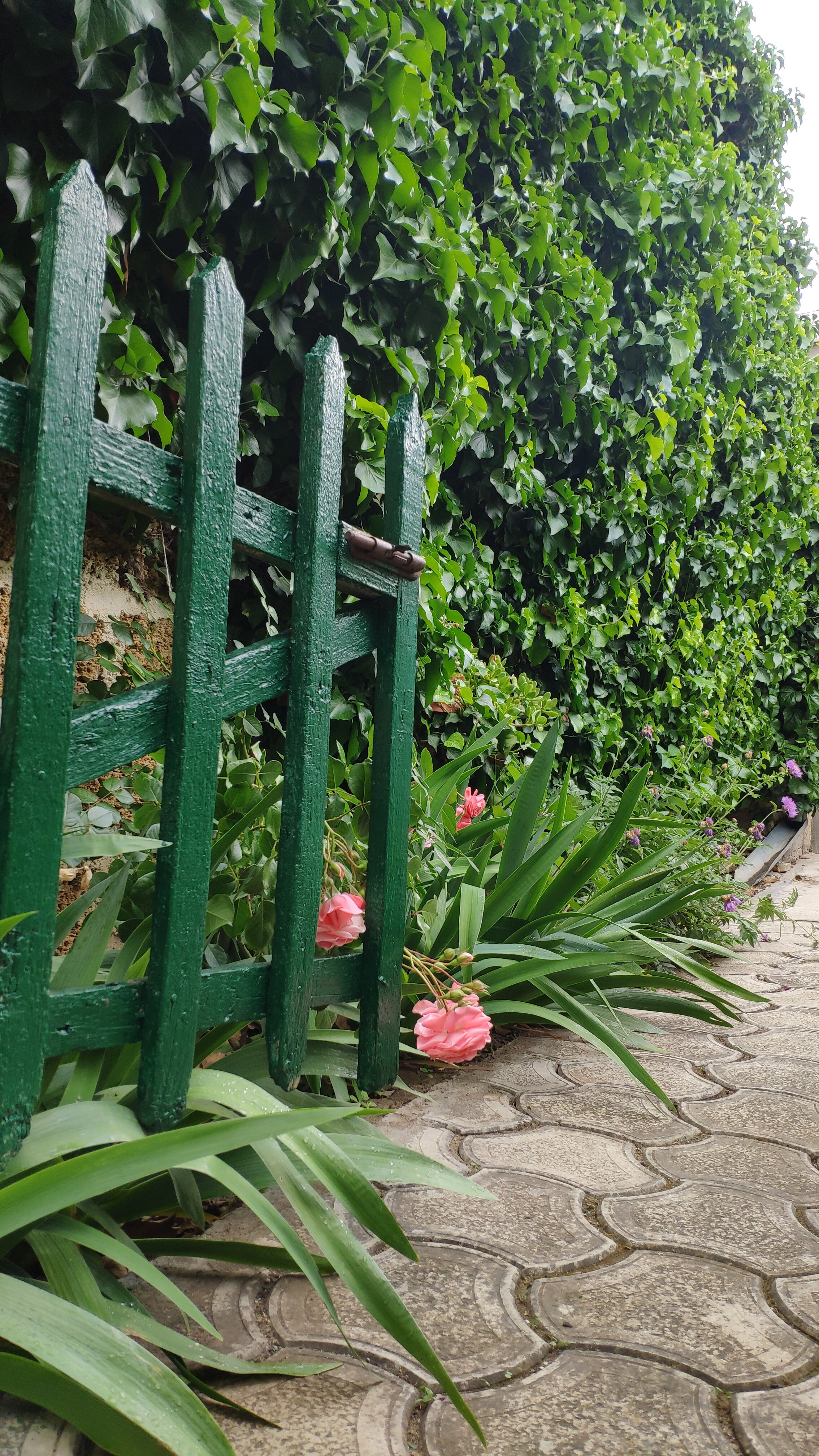 Фото Летний дом Сивэй