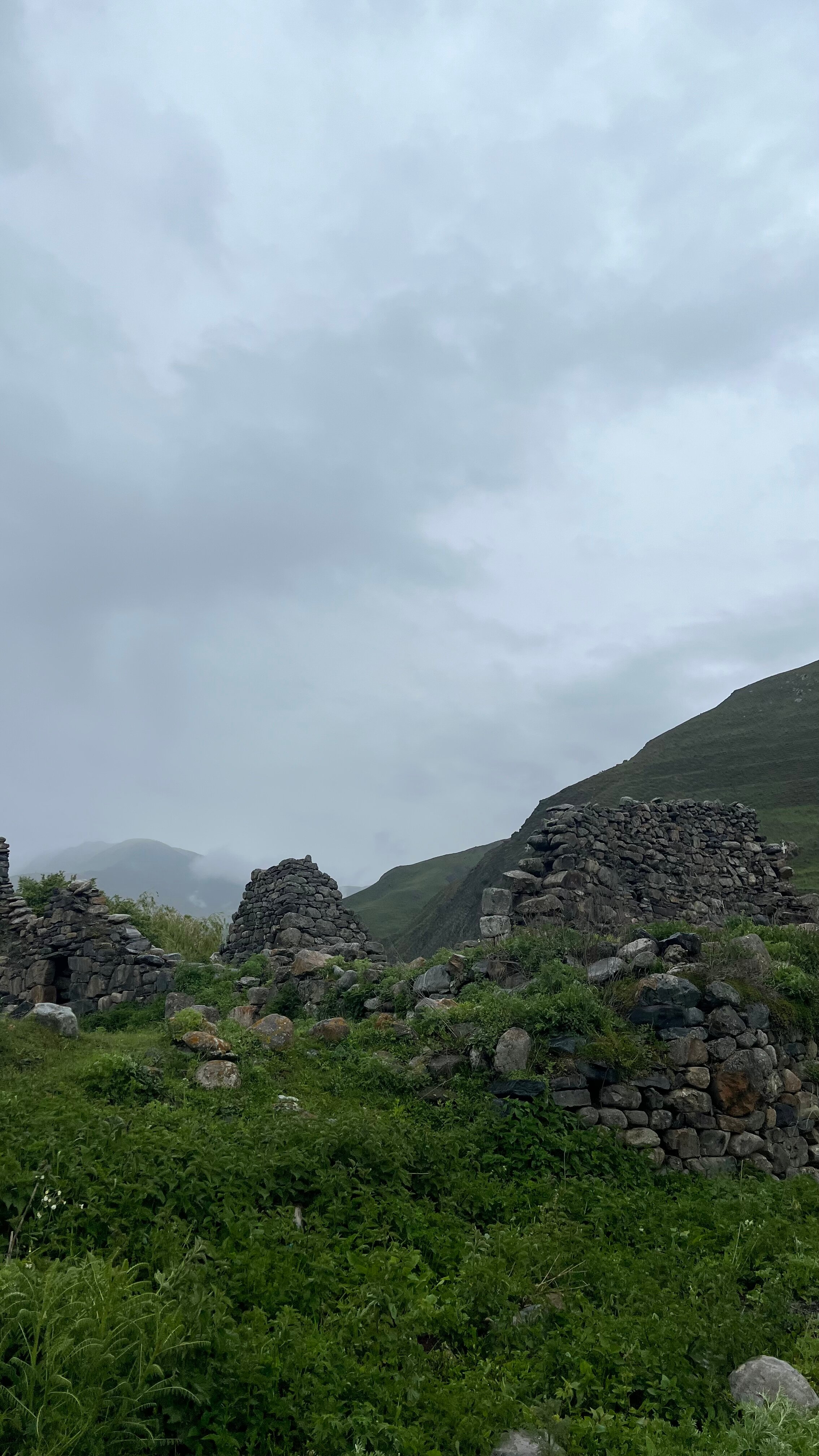 Фото Фруктовый Сад