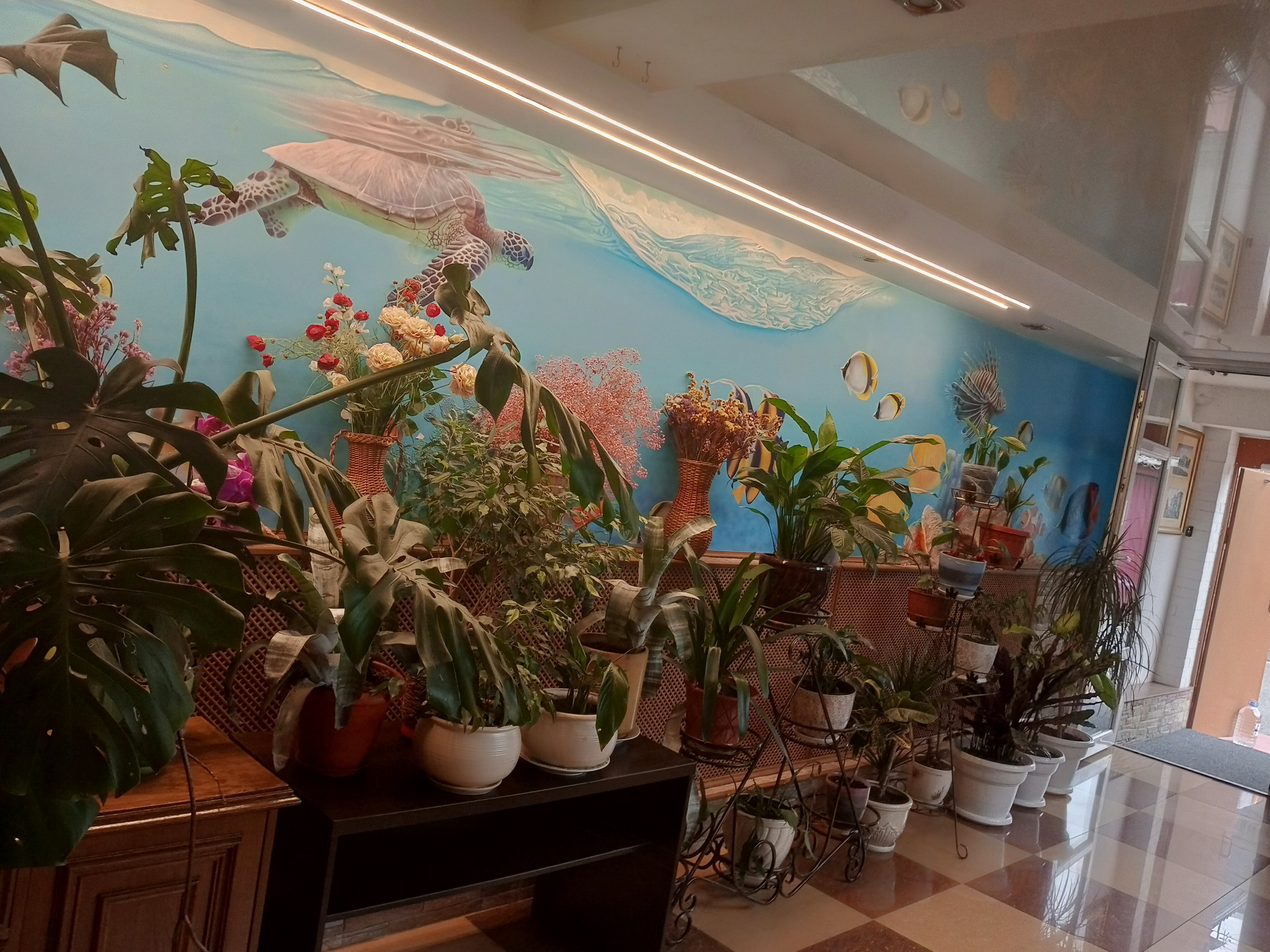 Фото Варвара