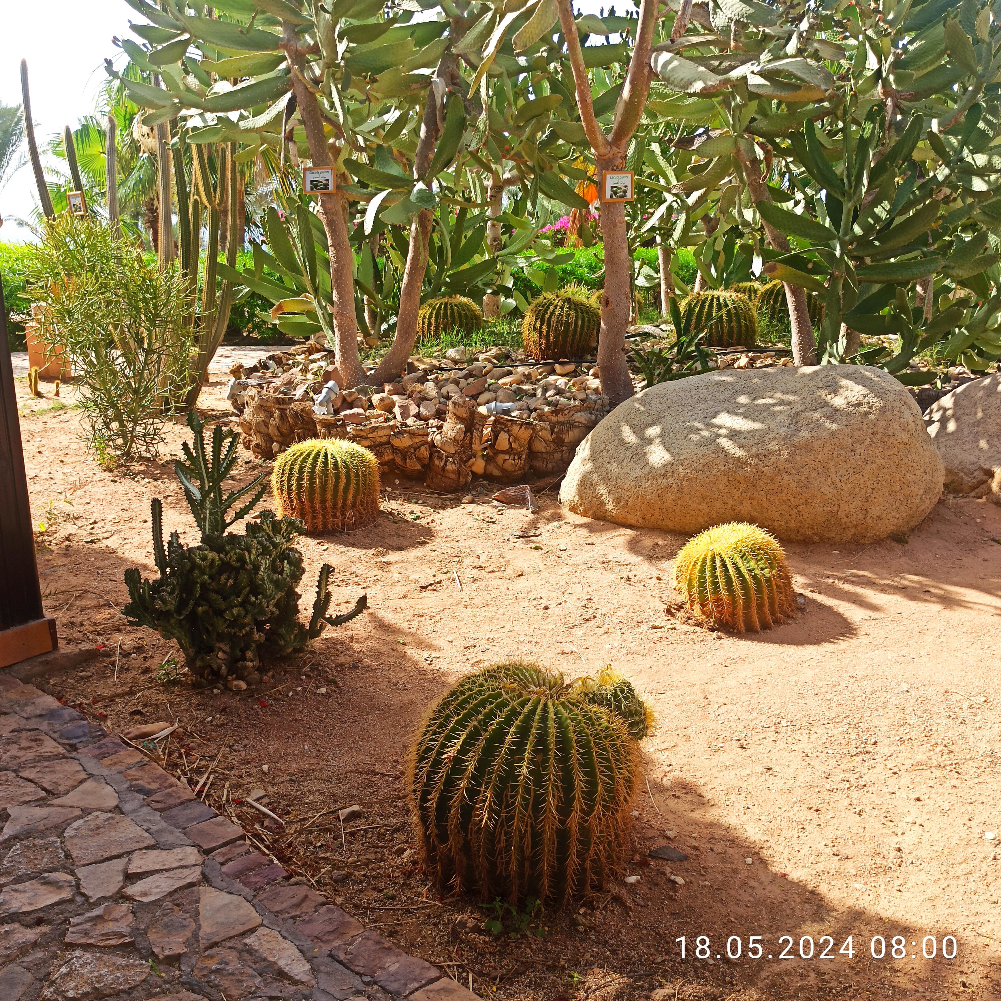 Фото Tamra Beach Resort