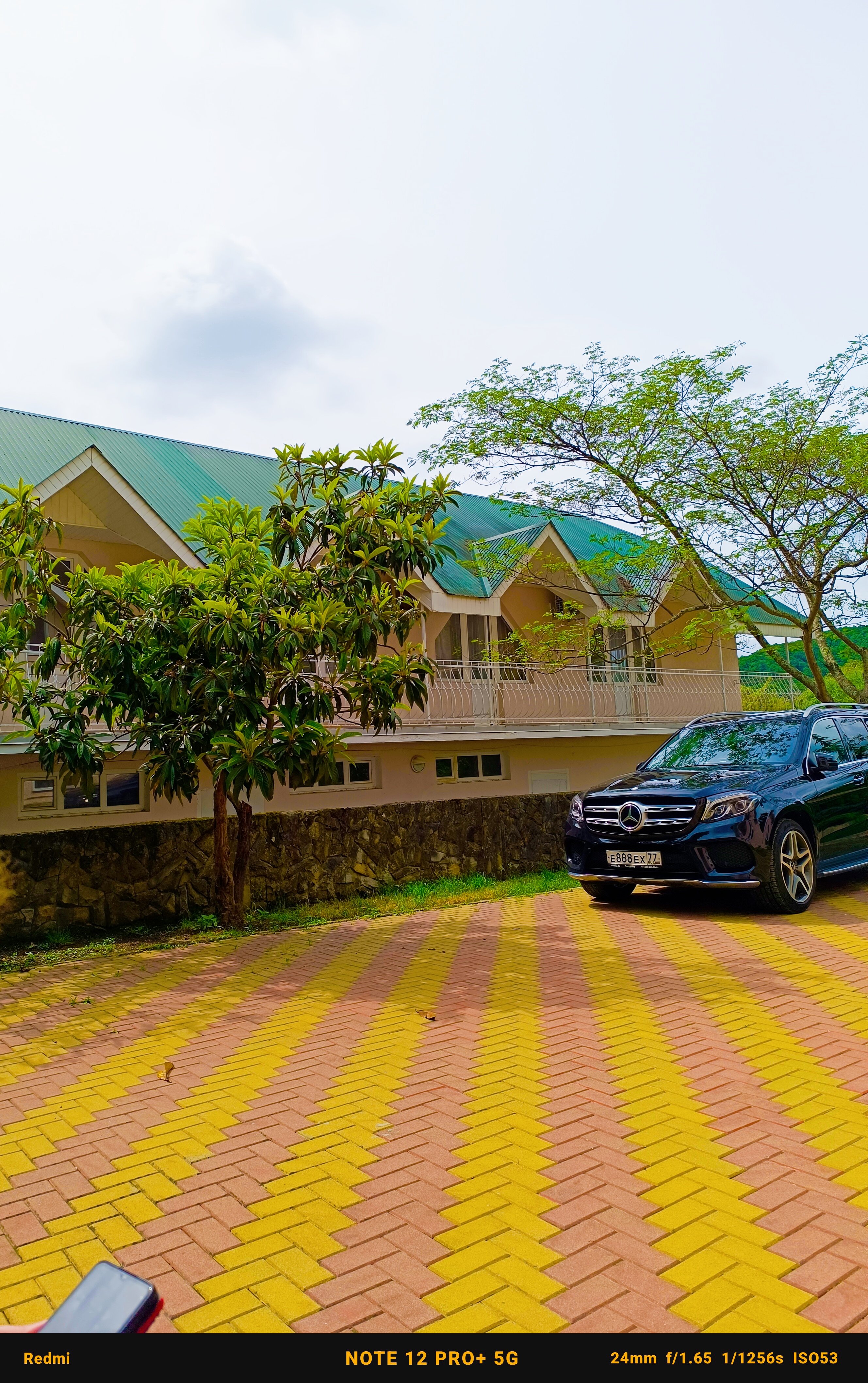 Фото Отрада