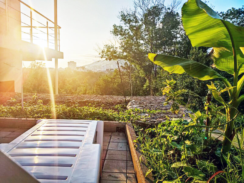 Фото Таун парк