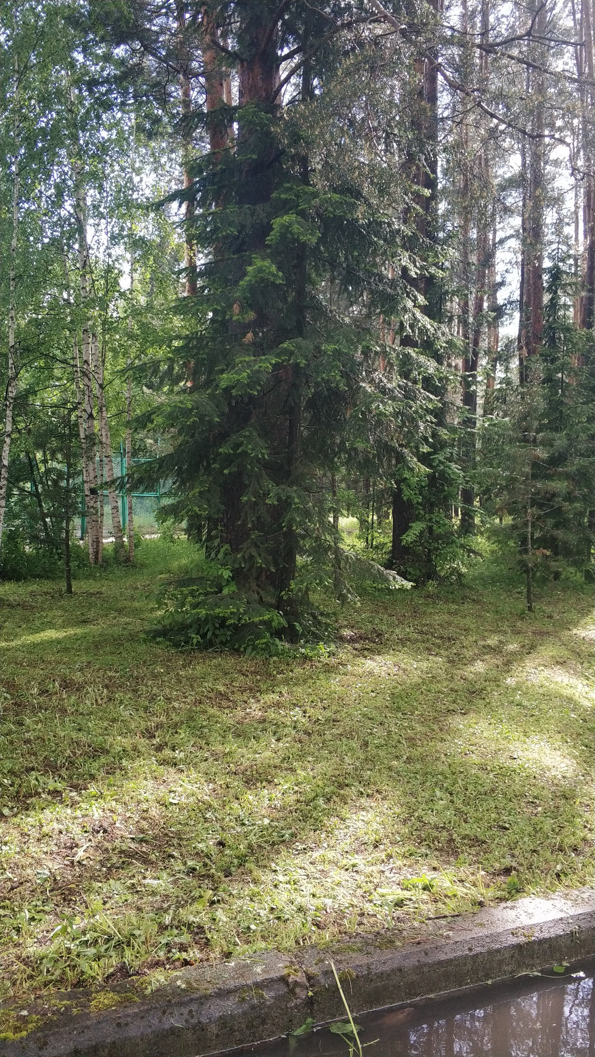 Фото Фантазия