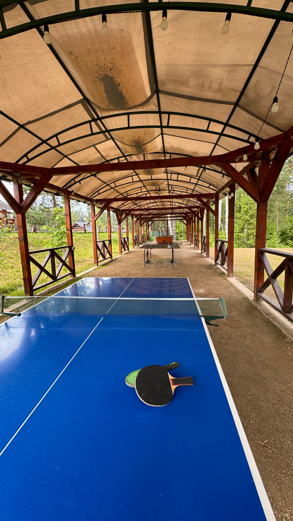 Фото Оленьи пруды