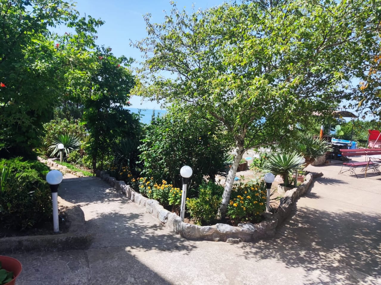 Фото Регата