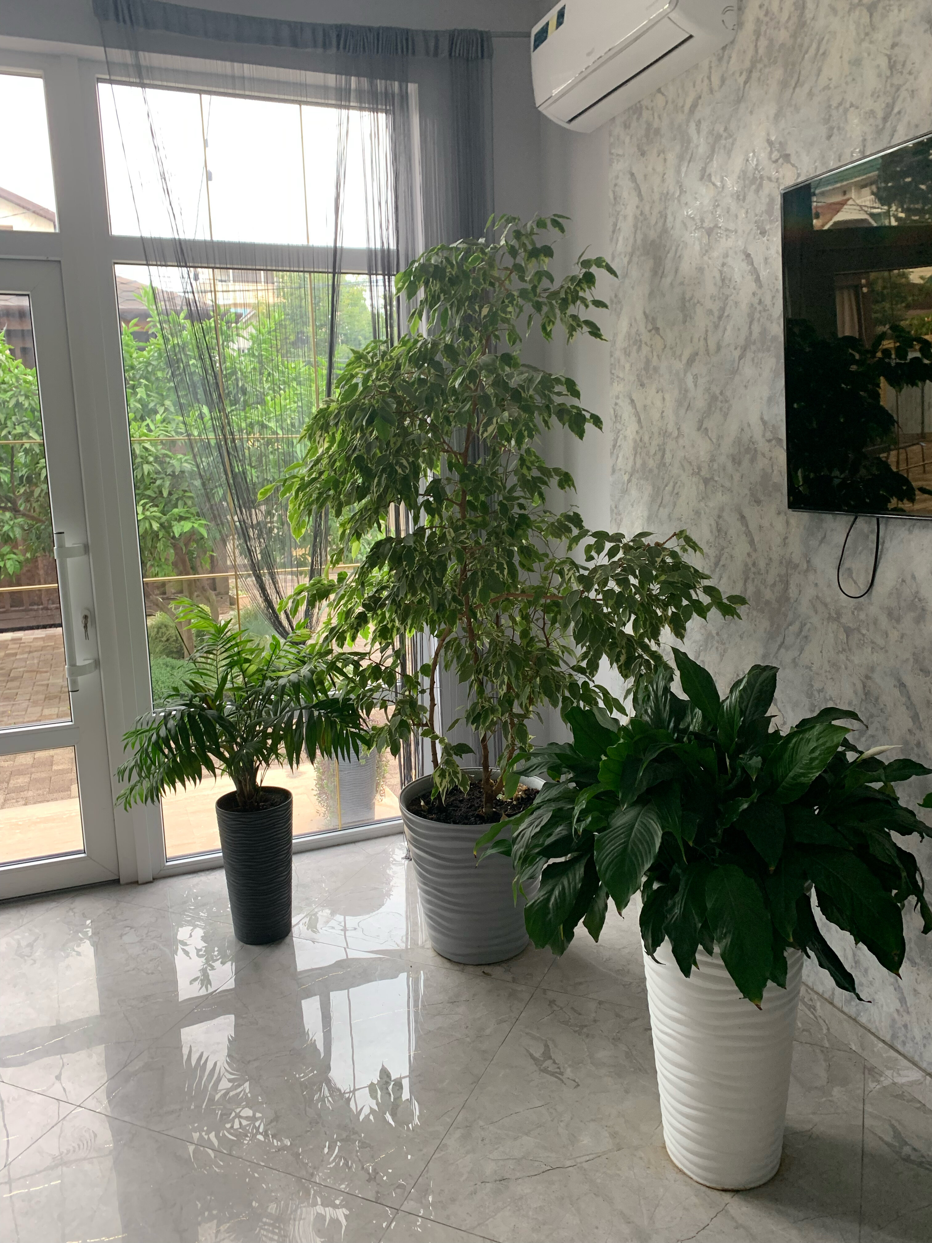 Фото Бумеранг