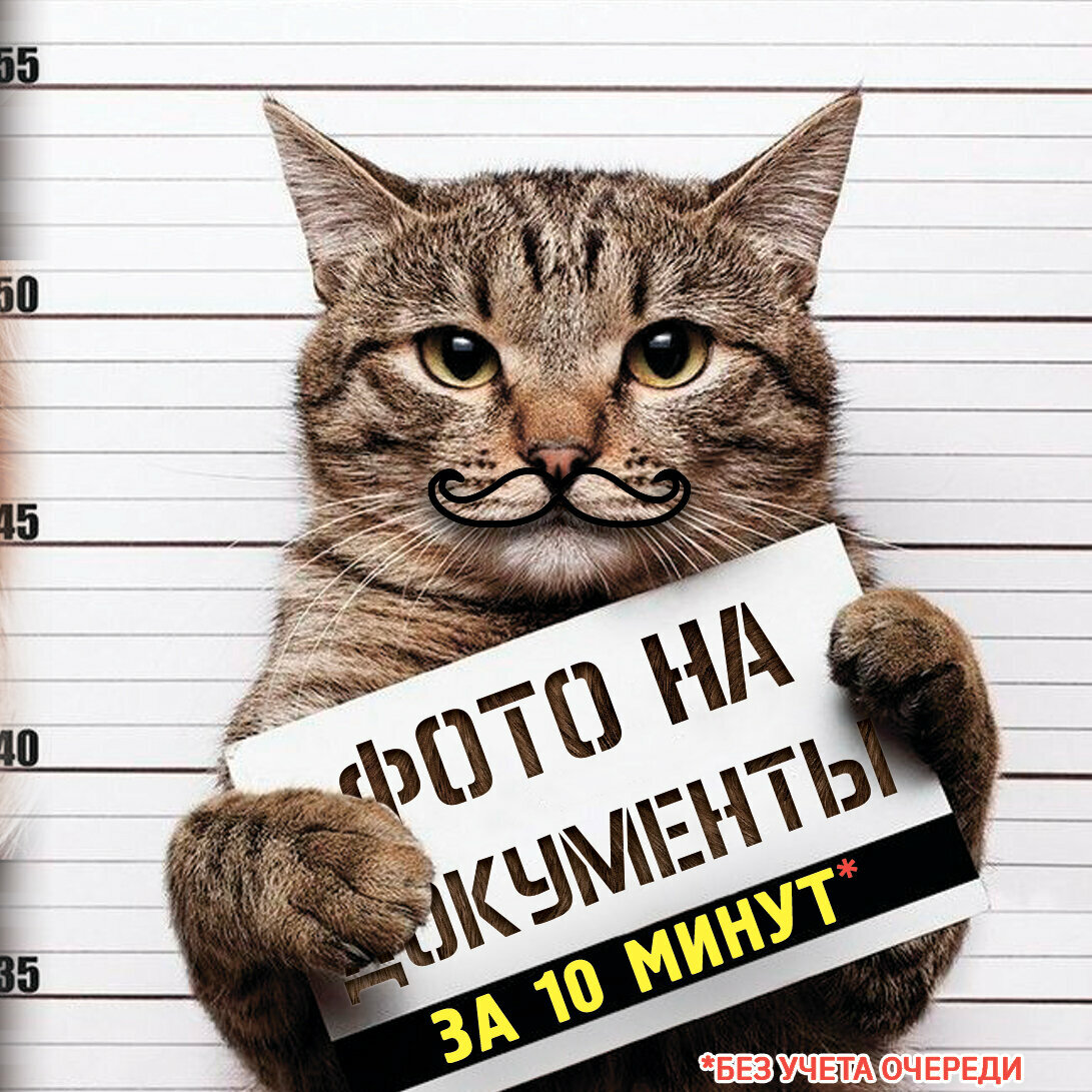 Печати САО