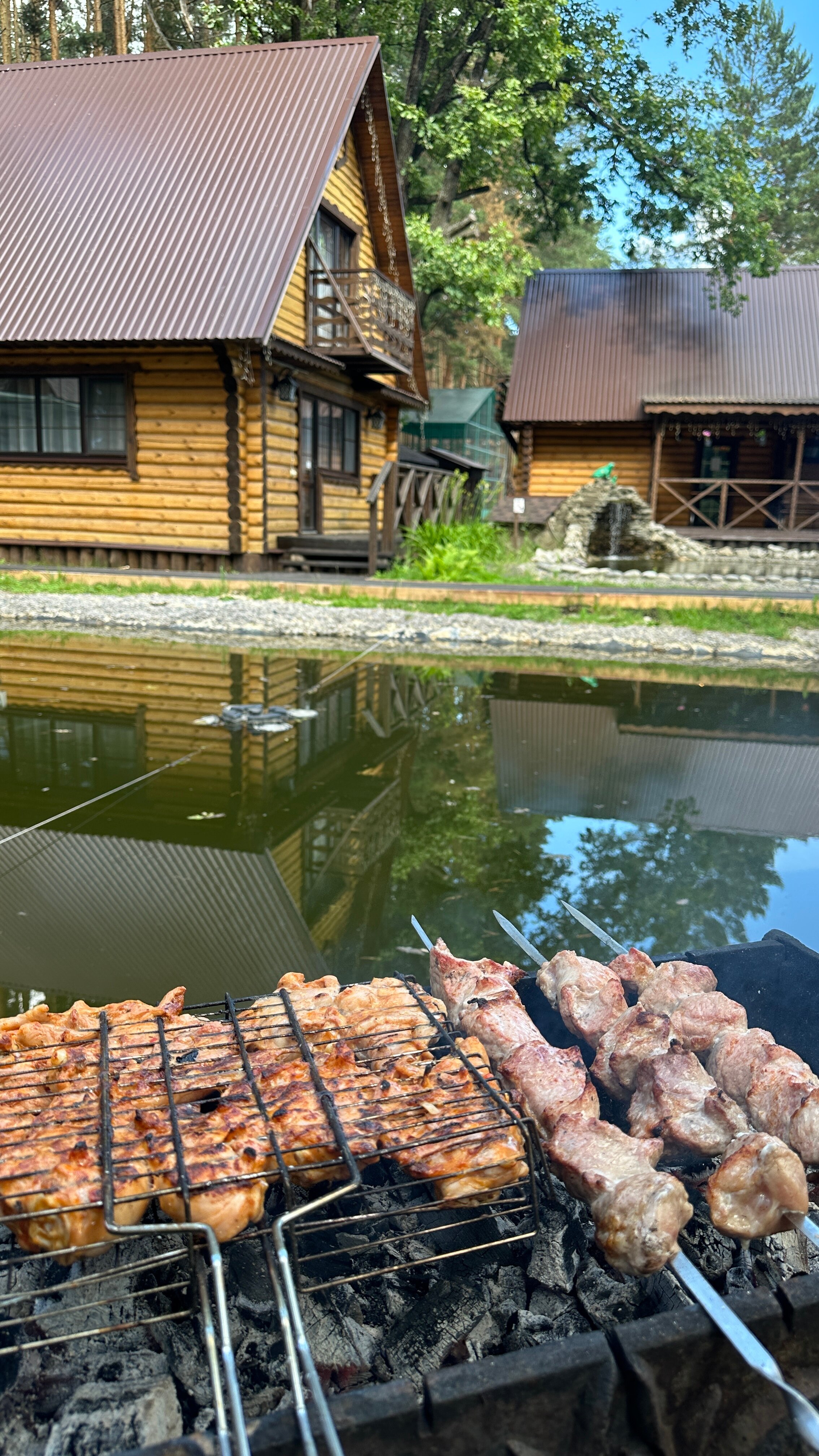 Фото Берёзка