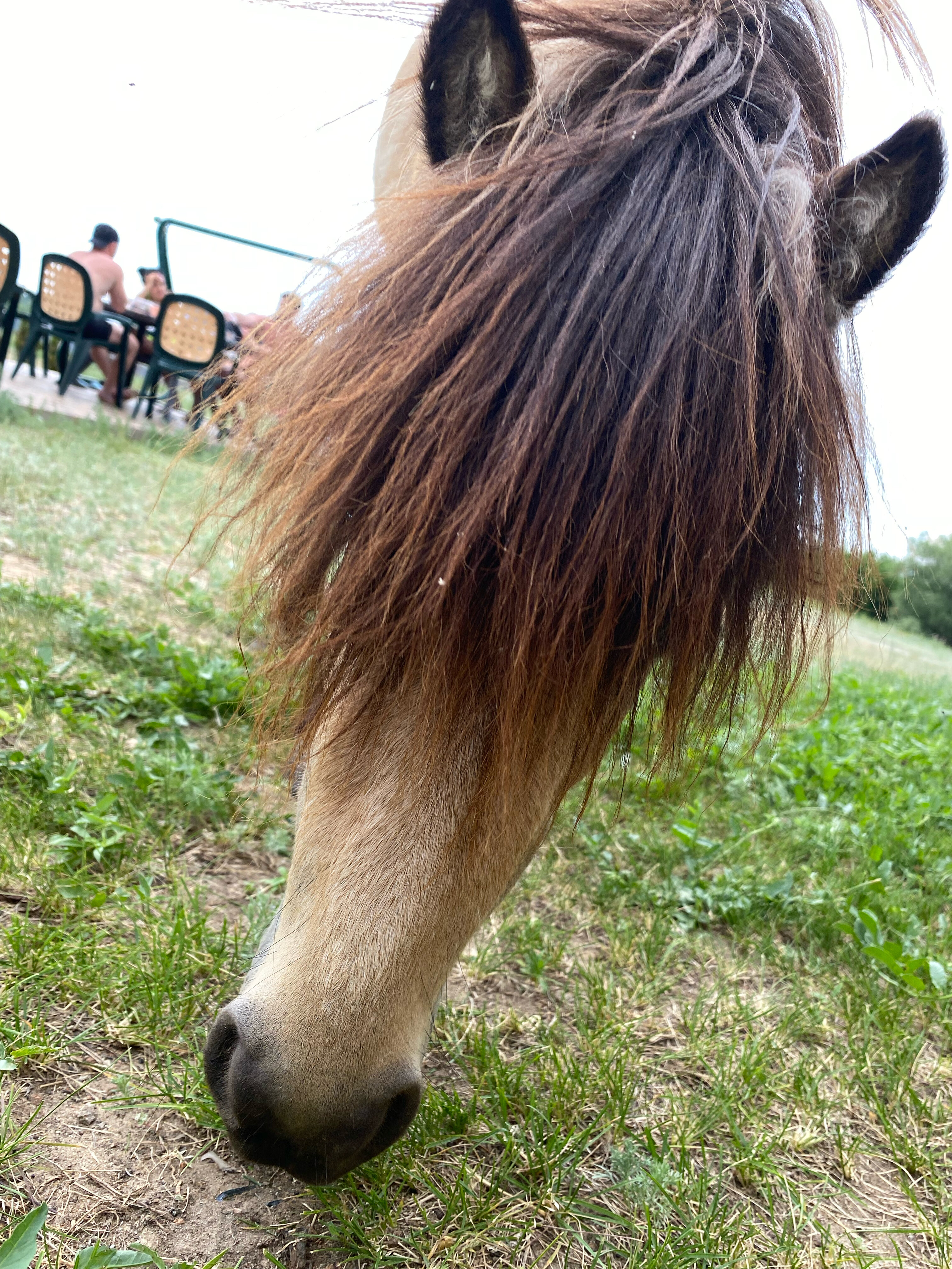 Фото Усадьба Заилечье