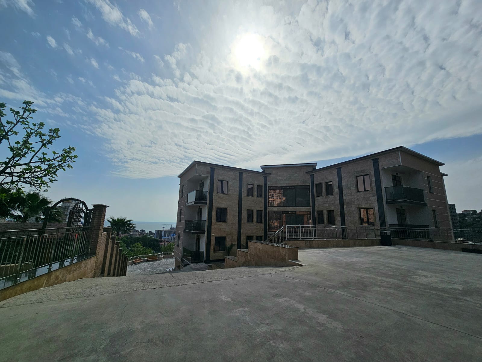 Фото Династия