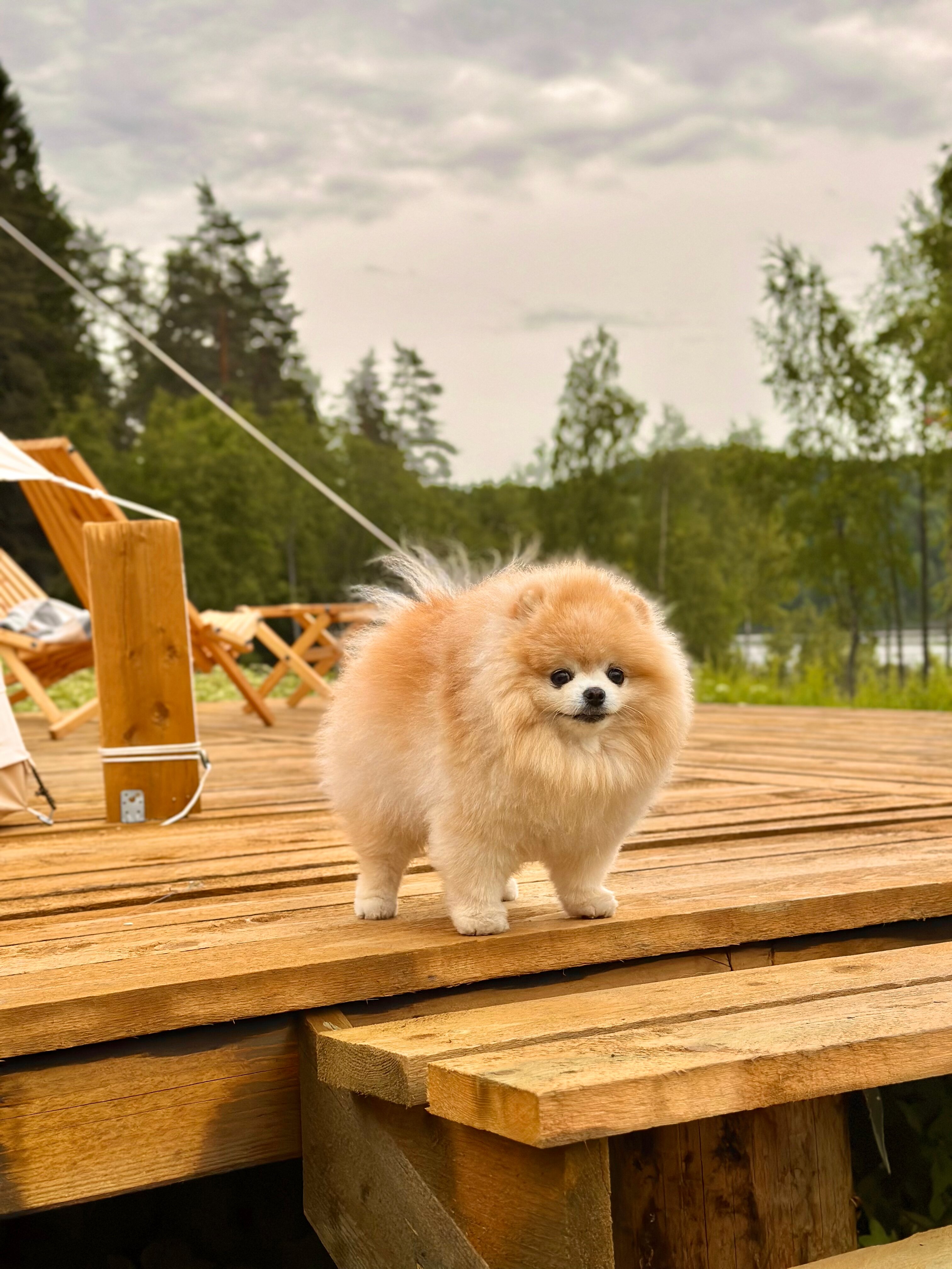 Фото Хутор ЛихKoff