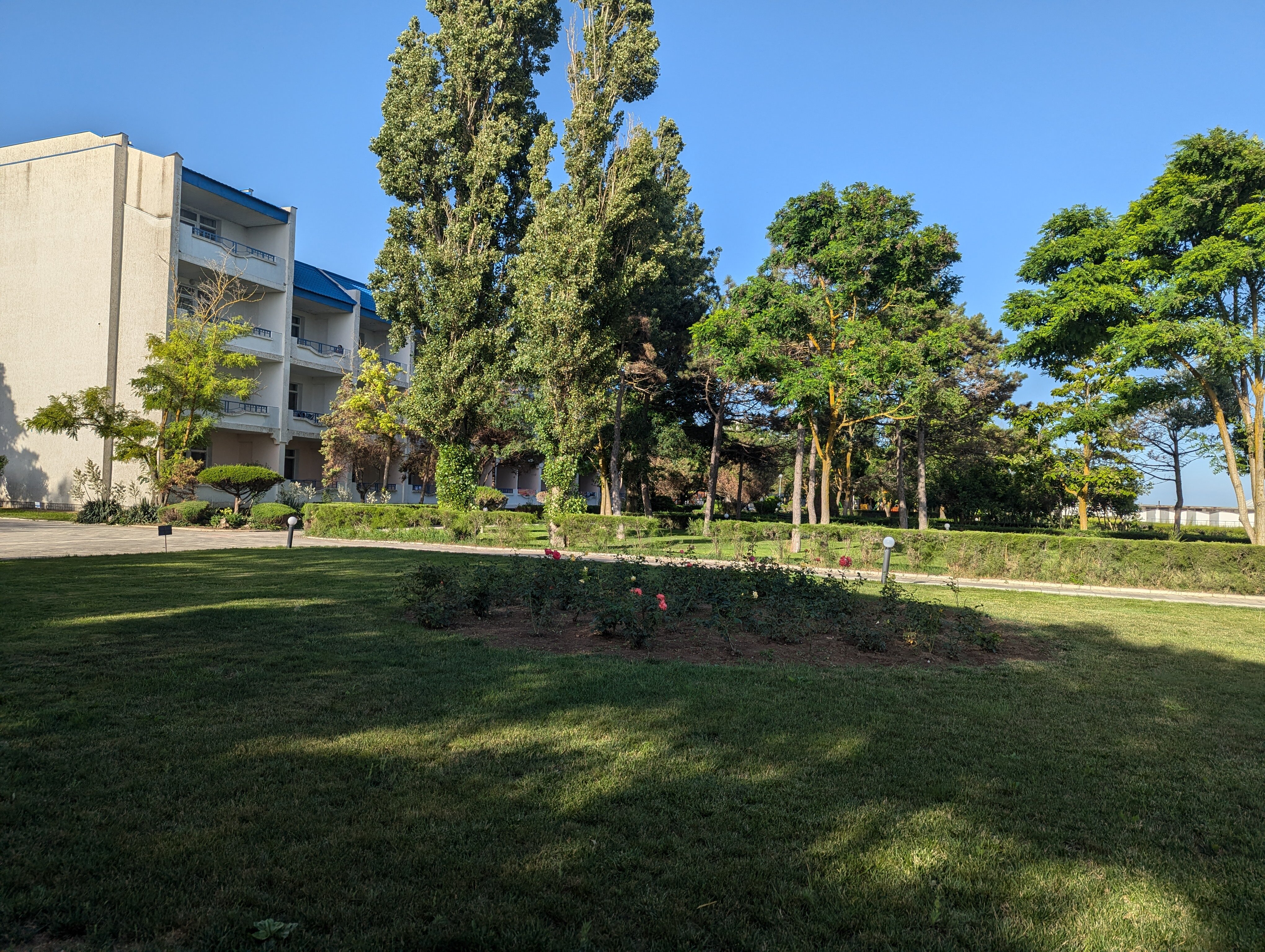 Фото Возрождение