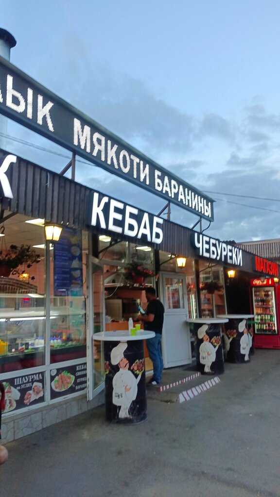 Cafe Shashlykyan, Moscow and Moscow Oblast, photo