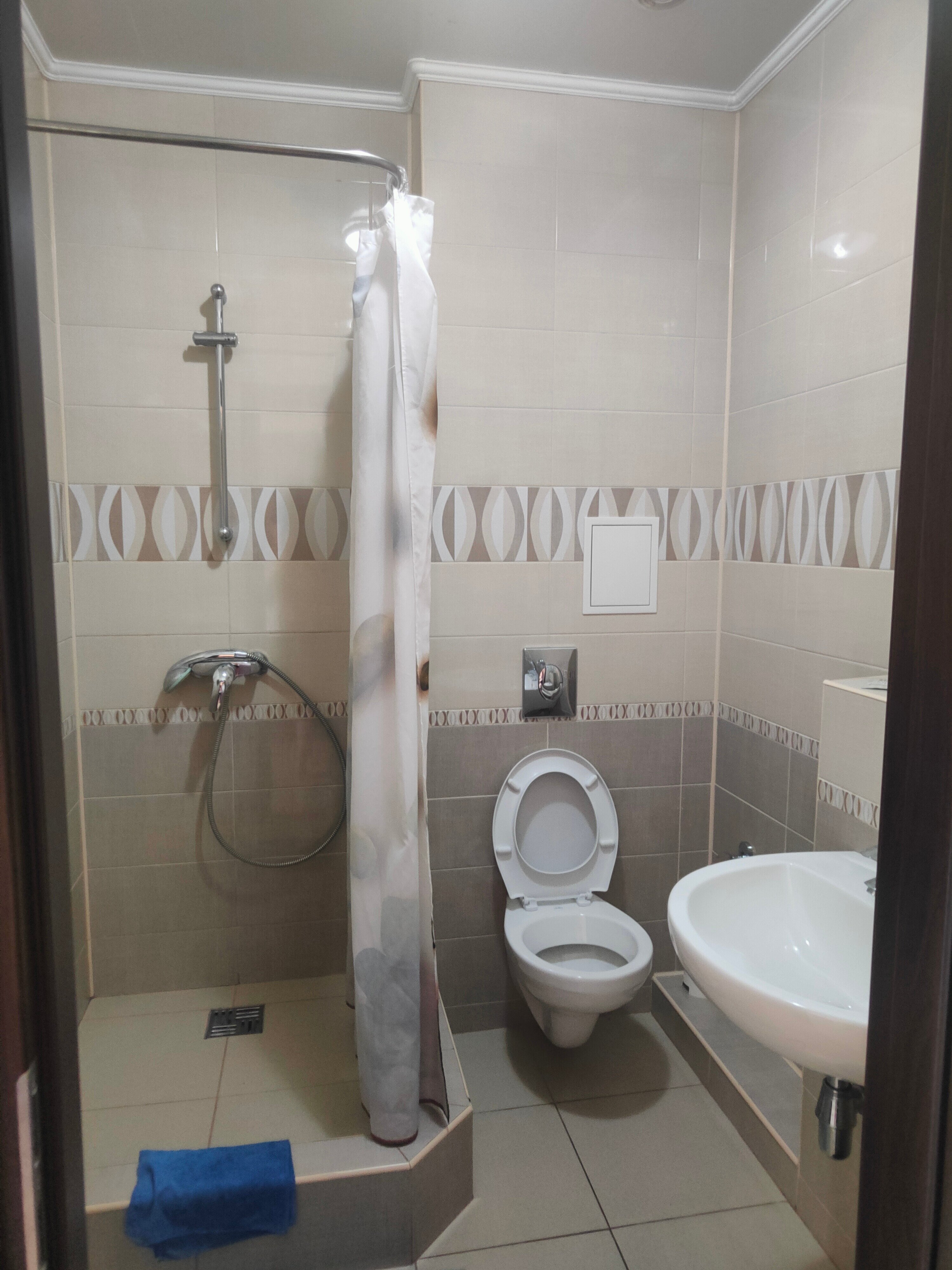 Фото Орхидея