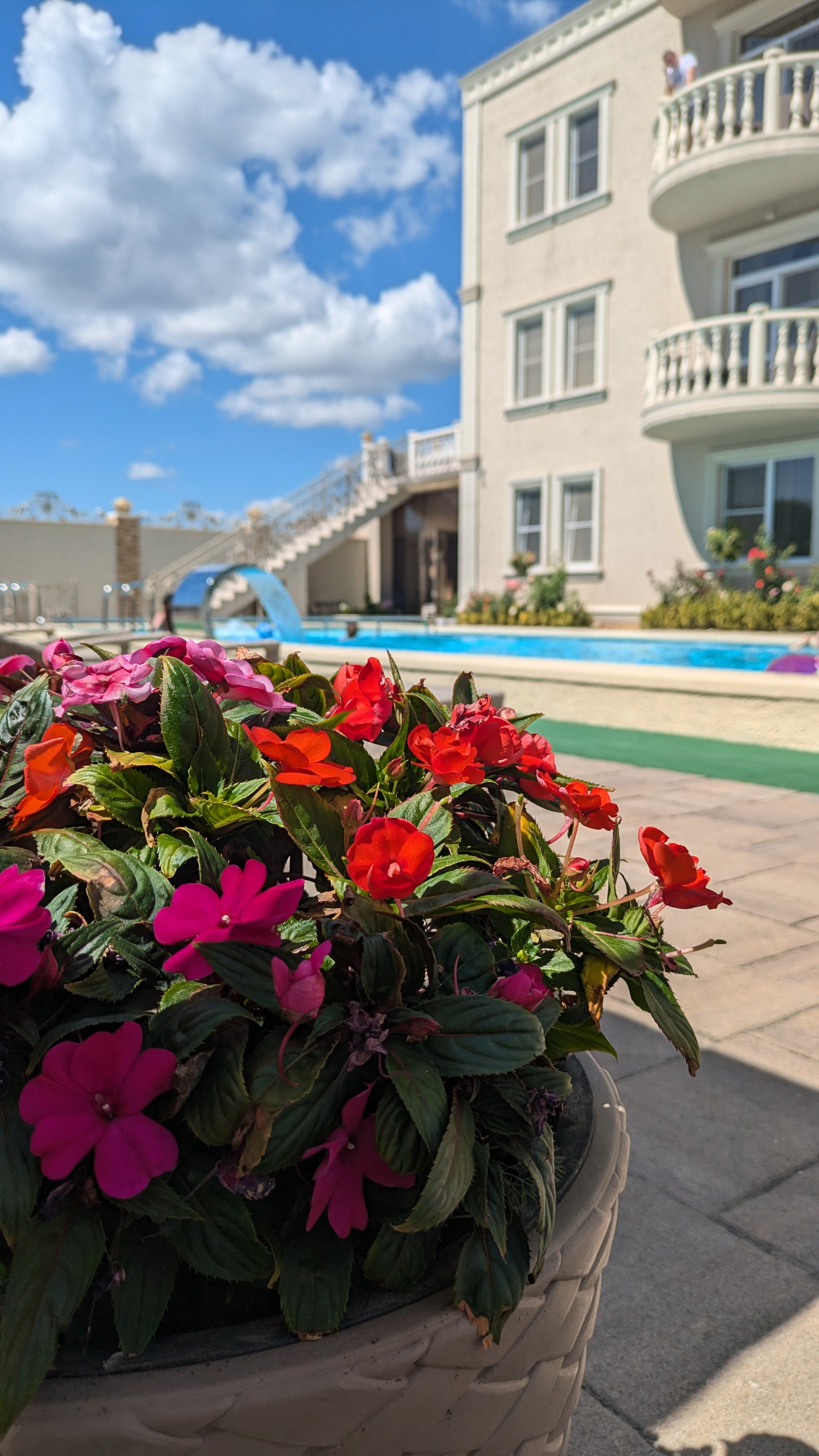 Фото Сильвия