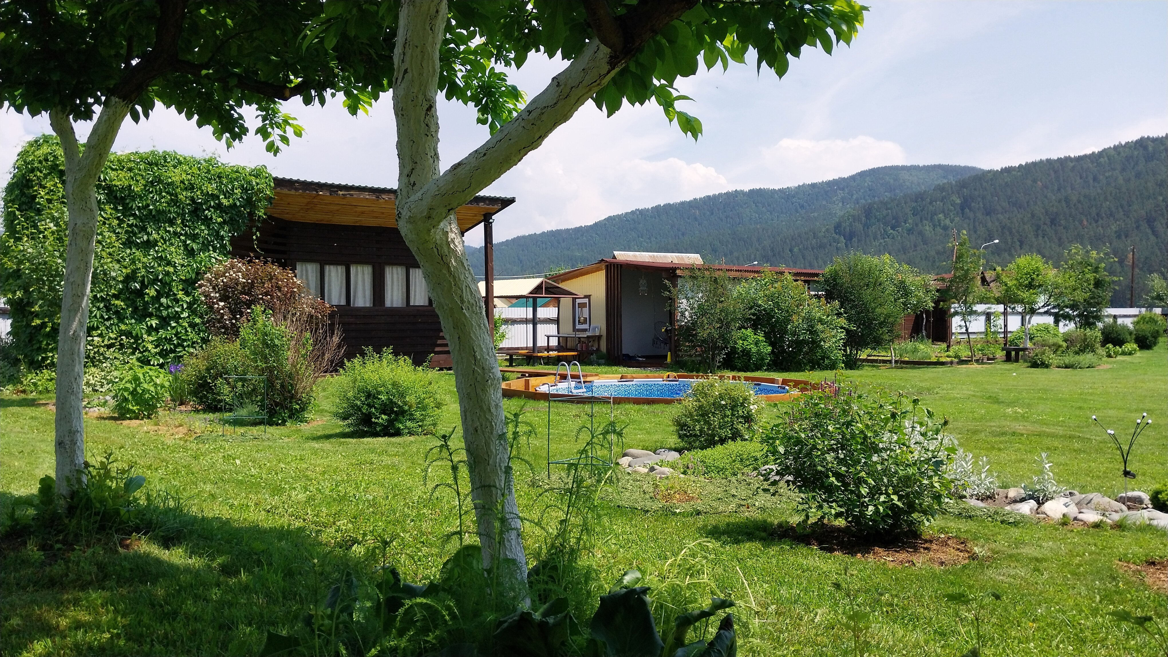 Фото Люминица