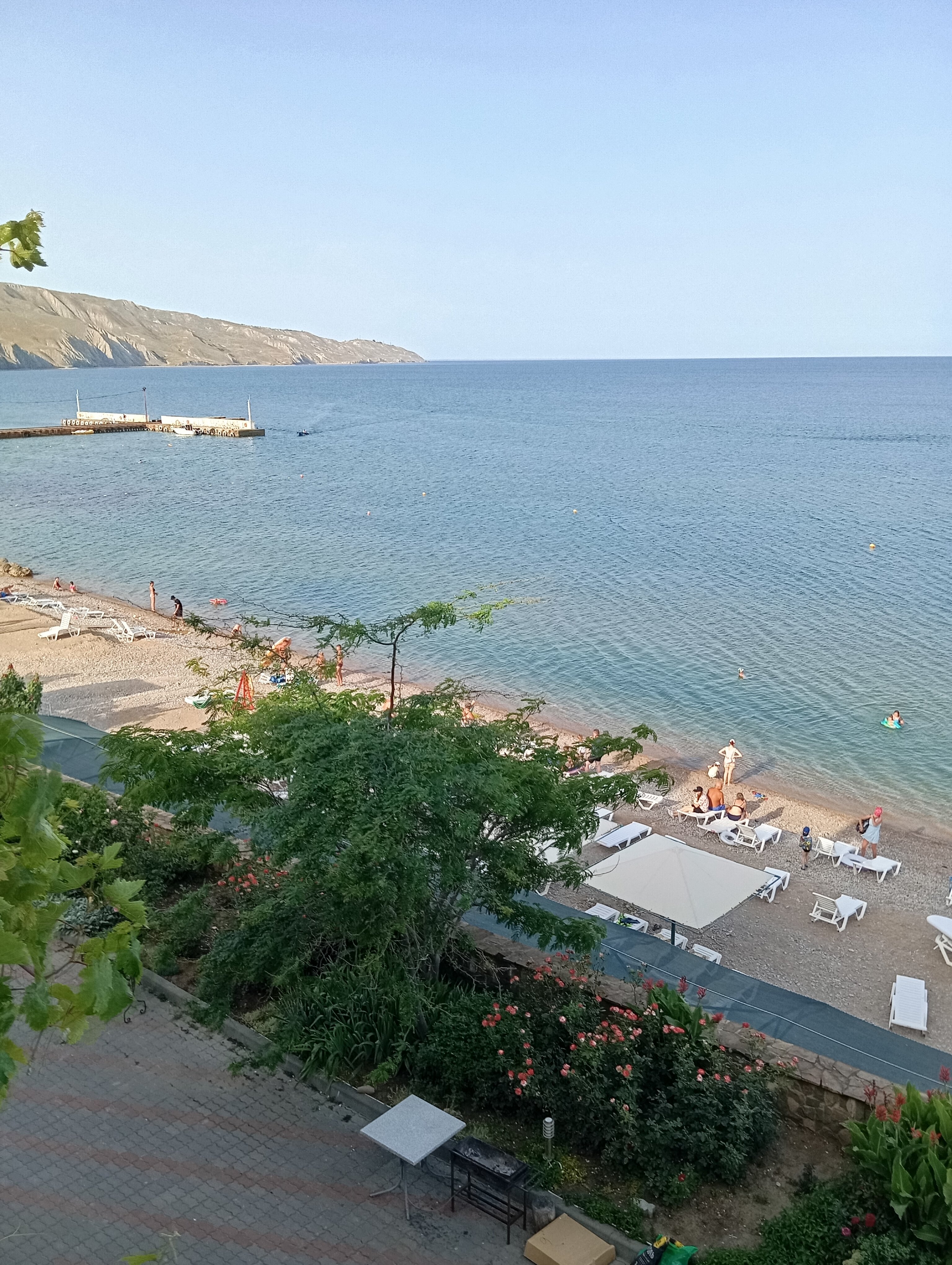 Фото Эллинг у Зои