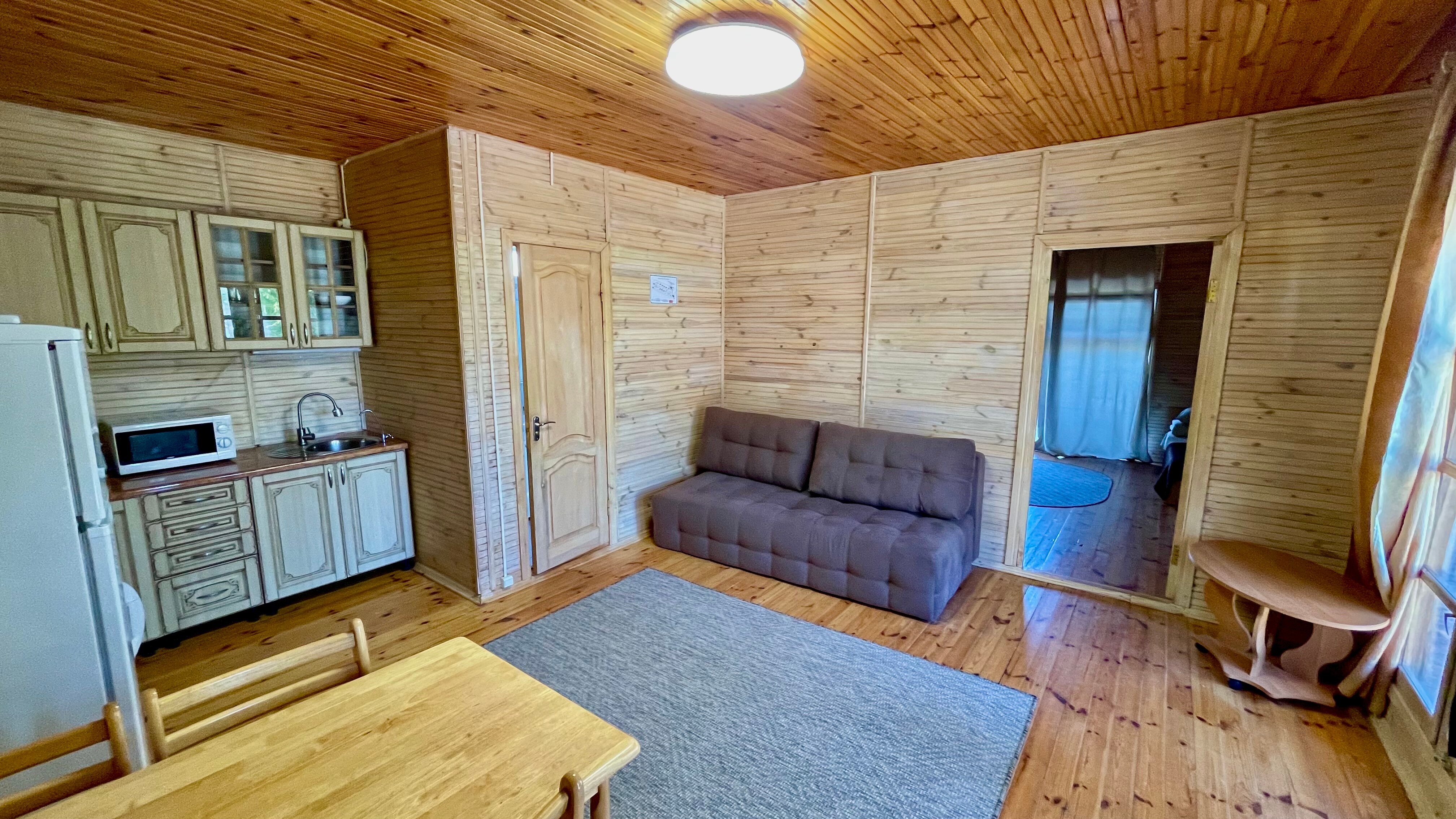 Фото Дельфин