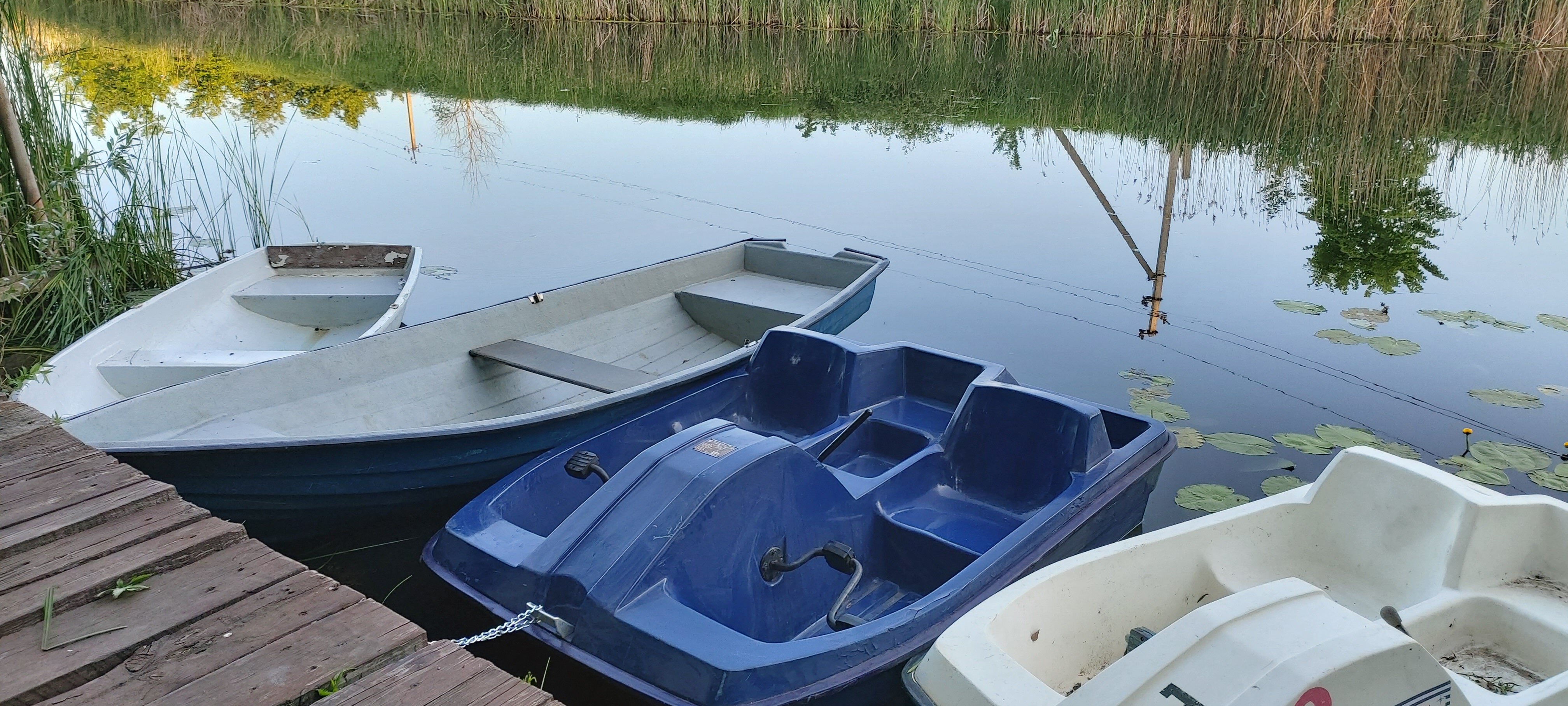 Фото Волшебница