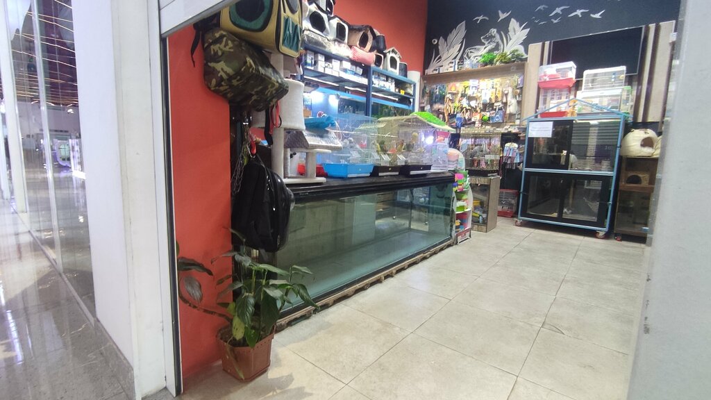 Pet shop Zoo Shop, Dushanbe, photo