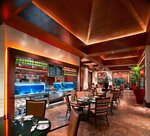 Tiger Jax (7, Ibn Seena Street, Umm Hurair 2, Umm Hurair, Bur Dubai, Dubai), restaurant