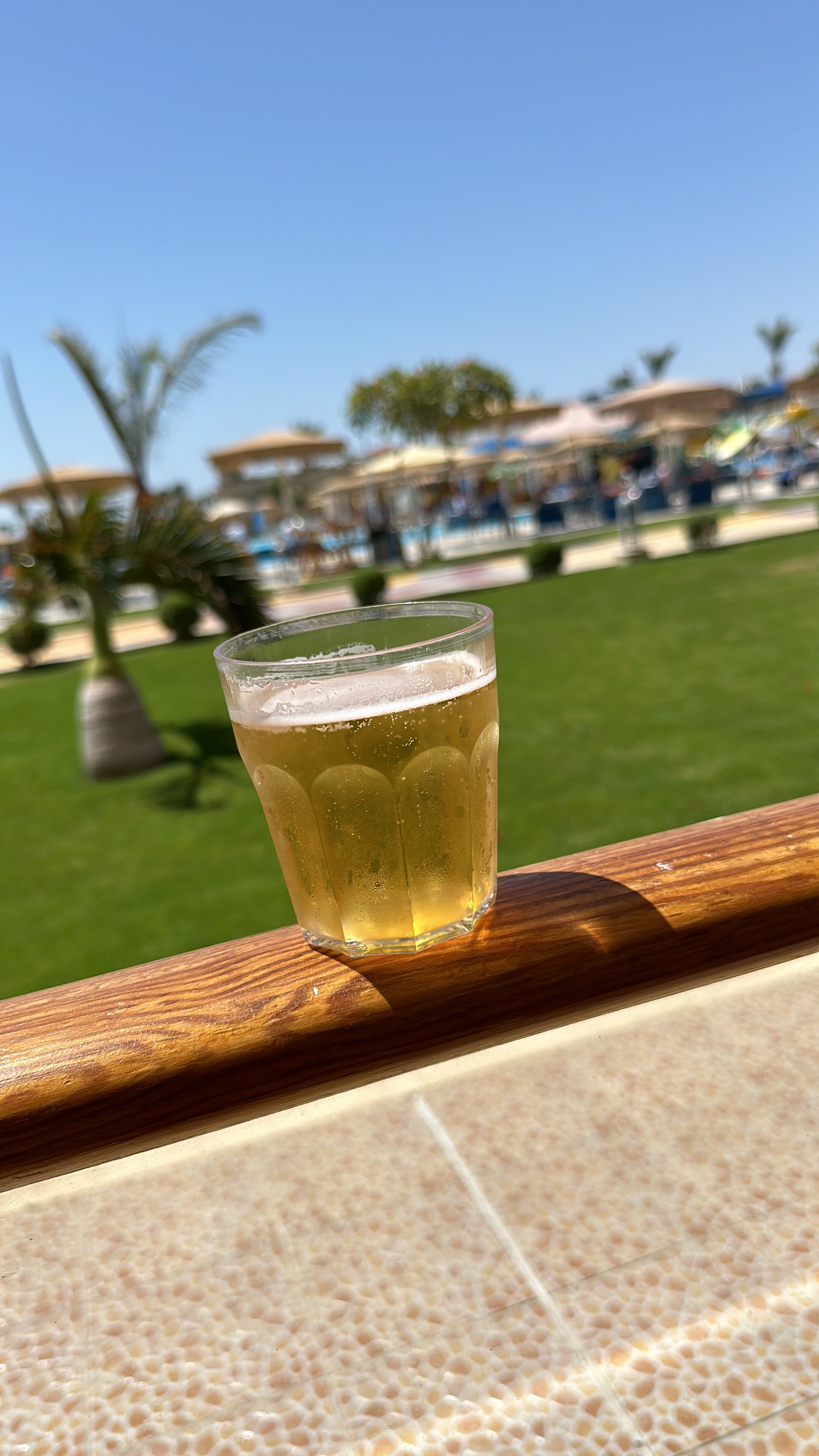 Фото Pickalbatros Royal Moderna Resort