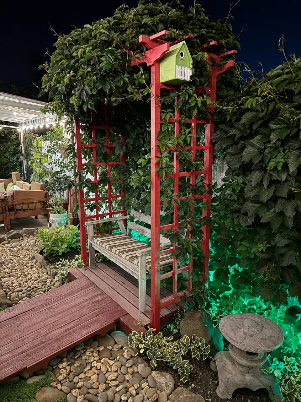 Фото Кофейное дерево