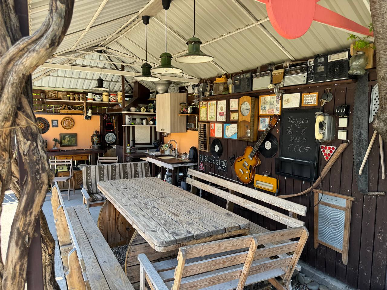 Фото Кофейное дерево